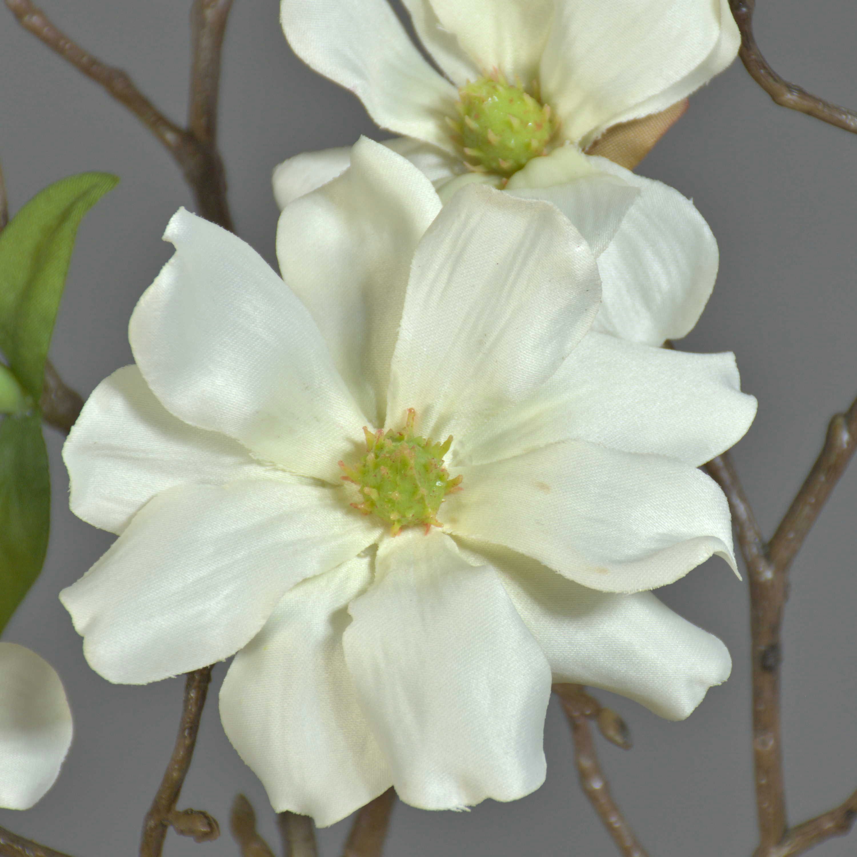 Kunstzweig Deko Magnolienzweig, 4 Blüten und Knospen, weiß, 80cm Magnolie, artplants, Höhe 80.0 cm