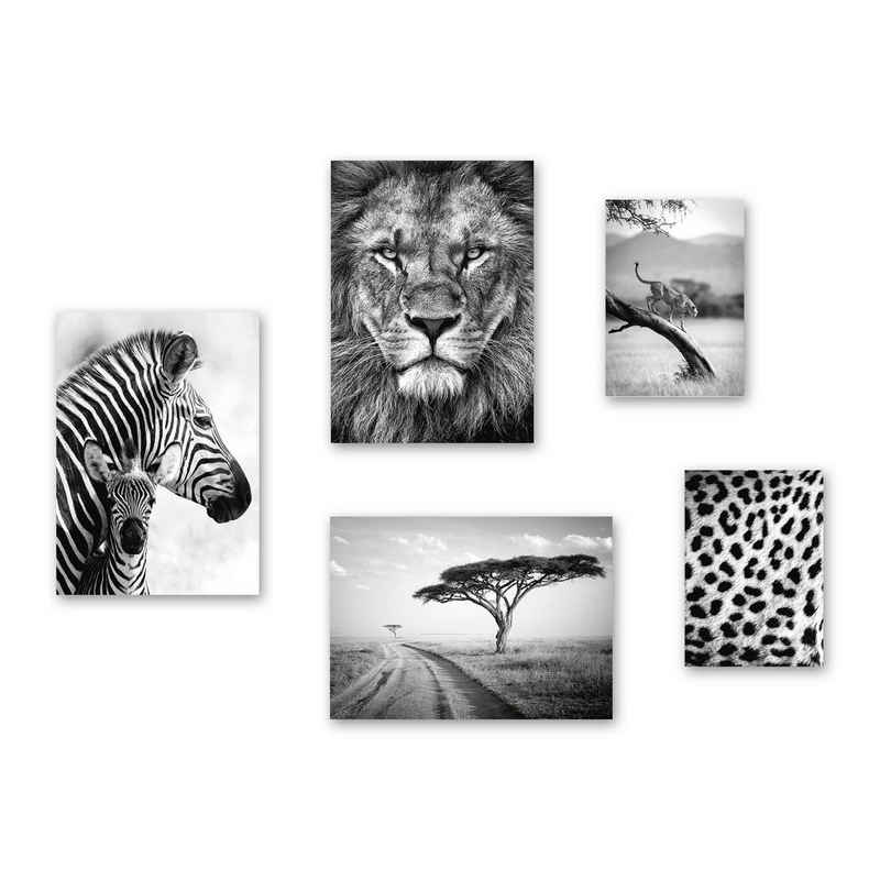 Kreative Feder Poster, Schwarz Weiß, Fotografie, Afrika, Löwe, Savanne, Zebra (Set, 5 St), 5-teiliges Poster-Set, Kunstdruck, Wandbild, Posterwand, Bilderwand, optional mit Rahmen, WP602