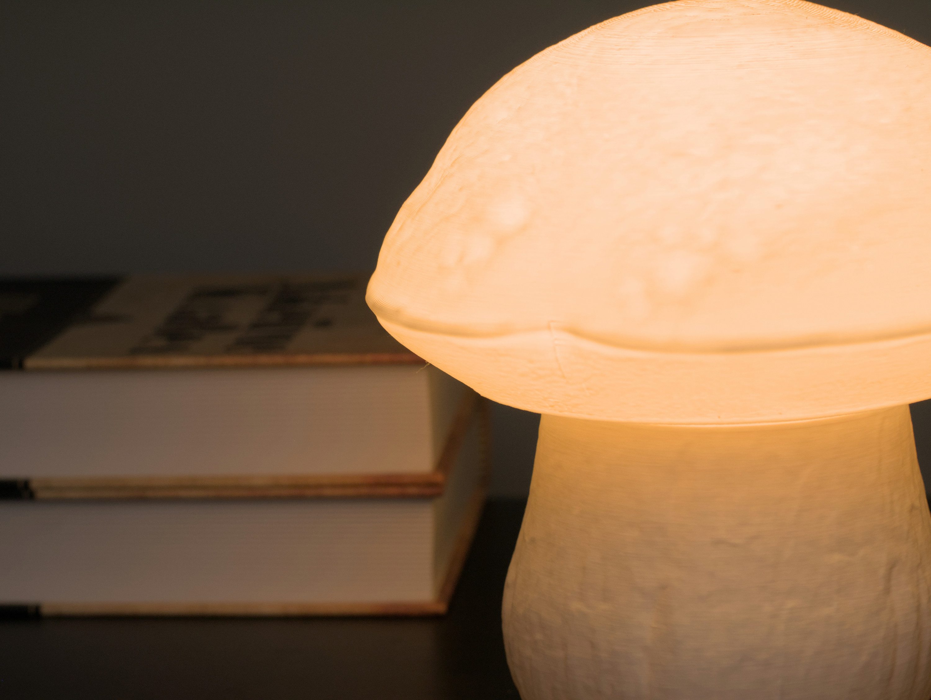 Roomberry Nachttischlampe Pilz Lampe: Gemeiner Steinpilz günstig online kaufen