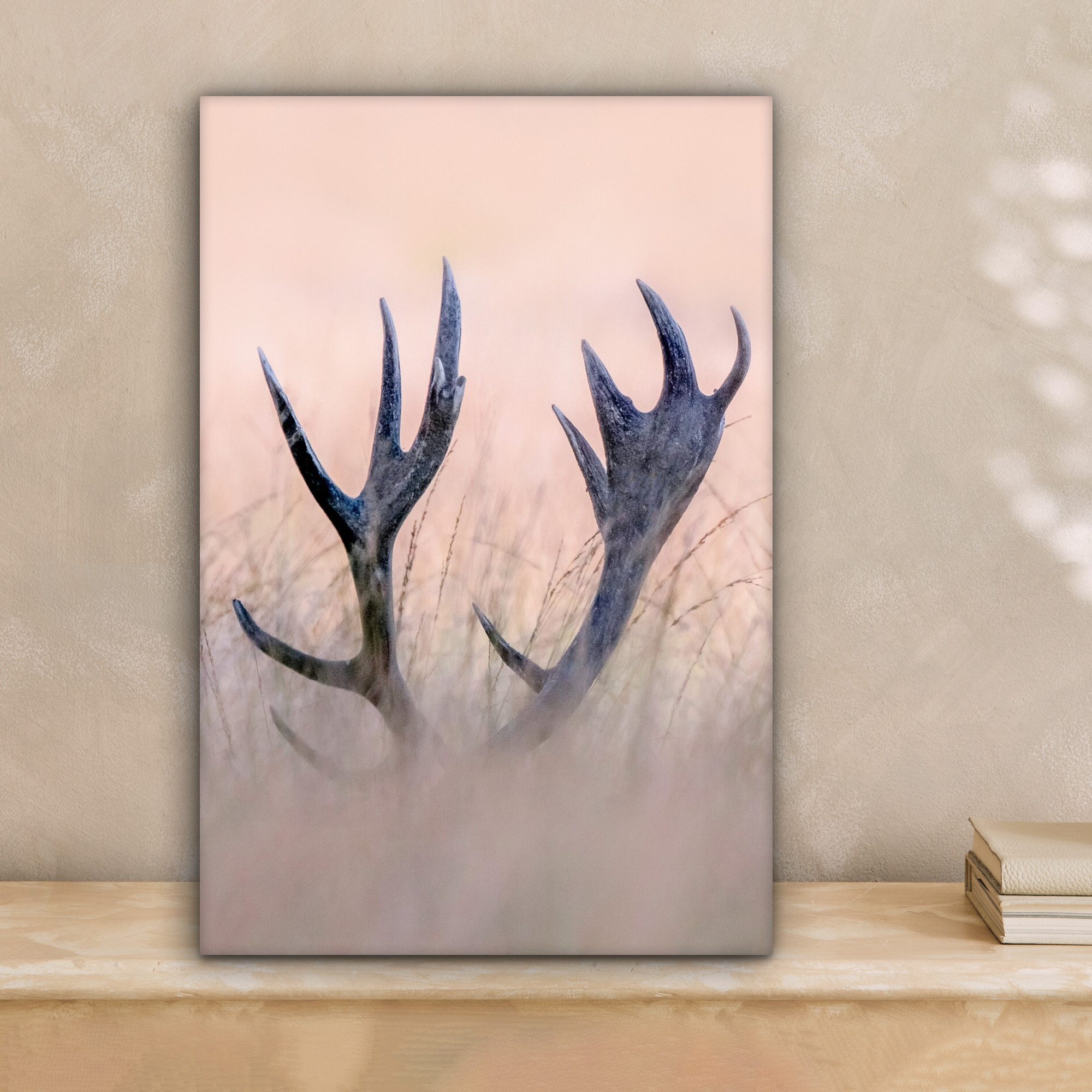 OneMillionCanvasses® Leinwandbild Geweih - Hirsch - Gras - Natur, Fotodruck günstig online kaufen