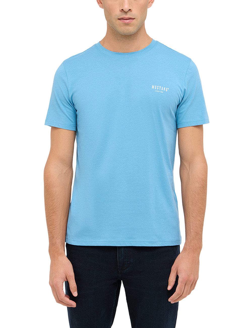 Kurzarmshirt Herren Style Austin