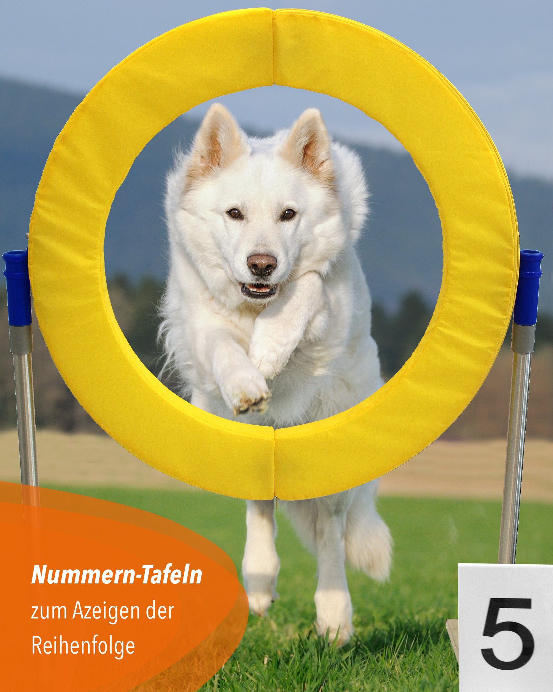 Superhund Agility-Slalom Zahlen-Tafeln von 1-25 durchnummeriert