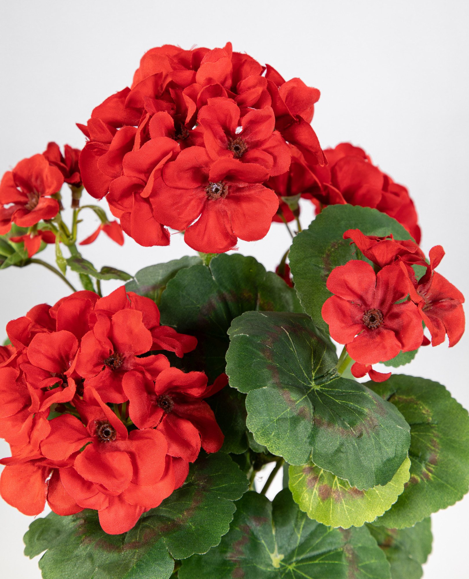 Kunstblume Geranie im Topf 34cm LM Kunstpflanzen künstliche Blumen Pflanzen Pelargonium, Seidenblumen Roß, Höhe 34 cm, Rot