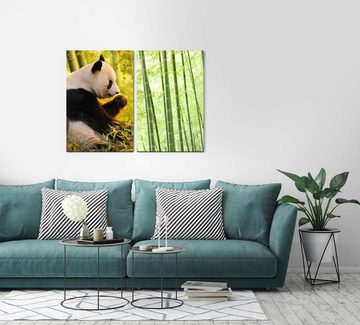 Sinus Art Leinwandbild 2 Bilder je 60x90cm Panda Pandabär Bambus Asien Bambuswald Grün Friedlich