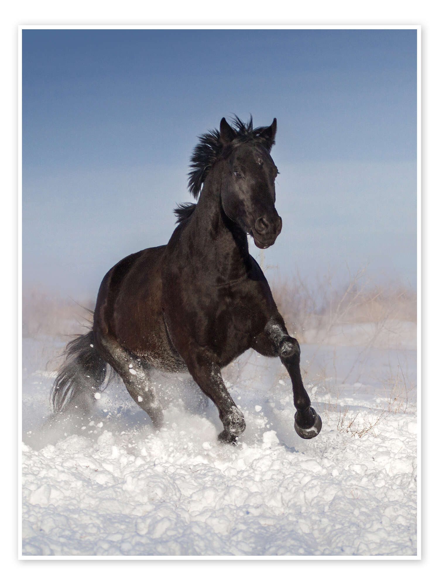 Poster Editors Choice