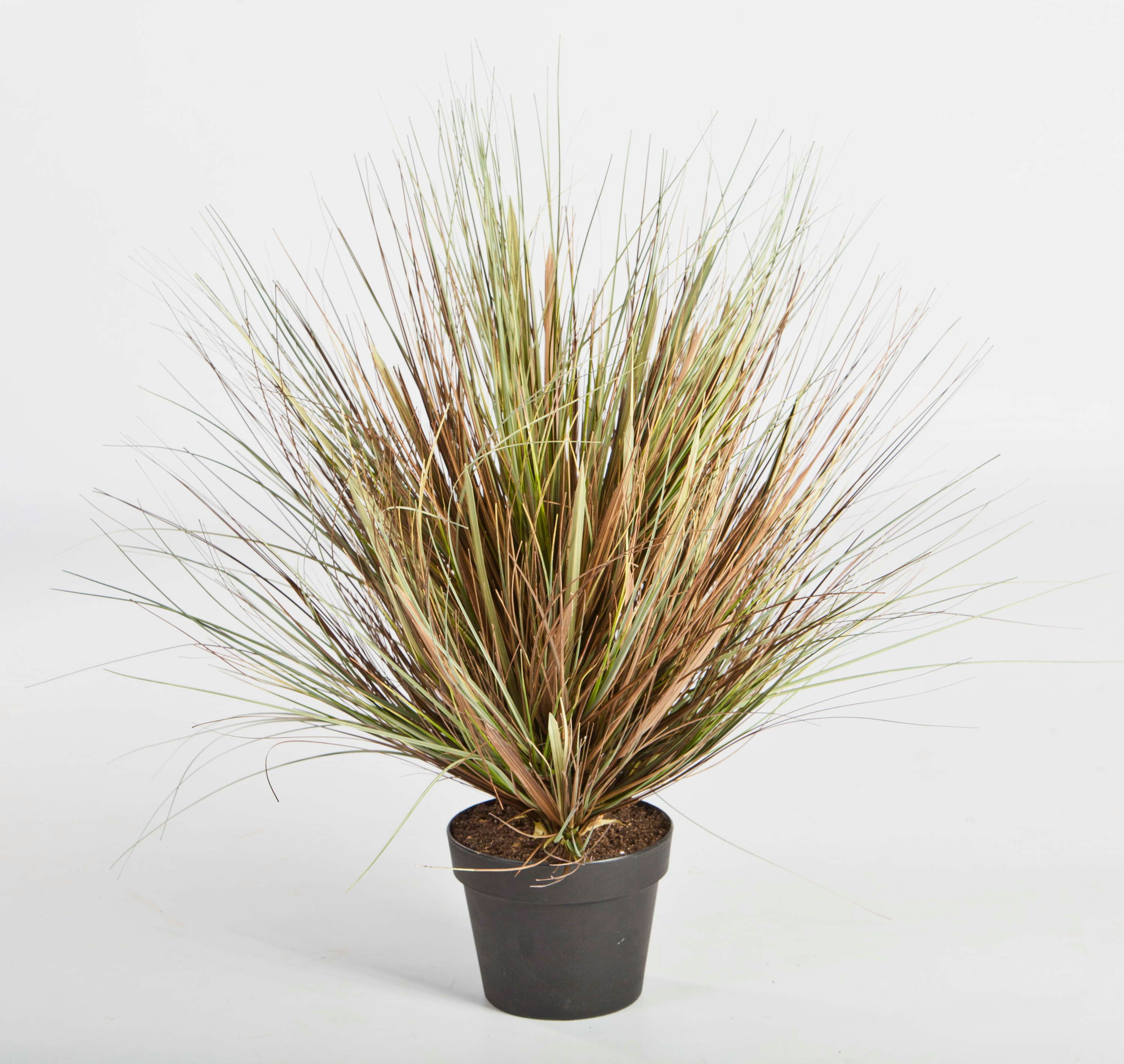 Kunstgras Künstliches Dünengras im Topf, grün-braun, 50cm - Kunstgras Strandhafer, artplants, Höhe 50.0 cm