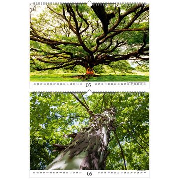 Seelenzauber ewige Kalender Baumzauber DIN A3 - Immerwährender Kalender Baum, Bäume und Wald -