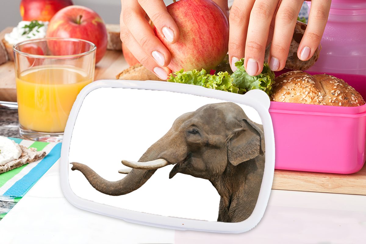 MuchoWow Lunchbox Elefant - (2-tlg), für Zähne Mädchen, Brotbox Brotdose Weiß, Kinder, - rosa Kunststoff Erwachsene, Kunststoff, Snackbox