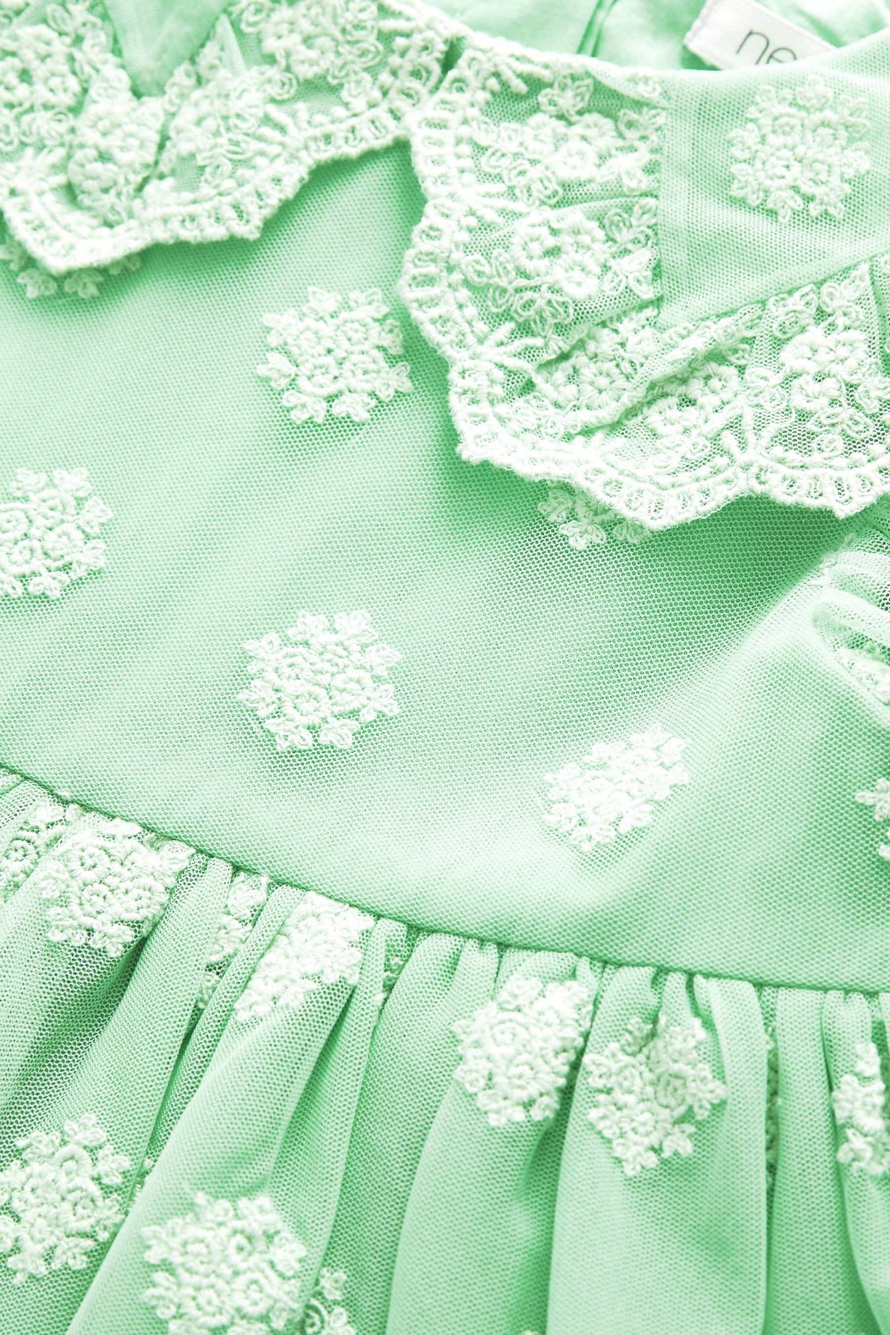 Mint Next Partykleid Anlässe (1-tlg) besondere für Spitzenkleid Green