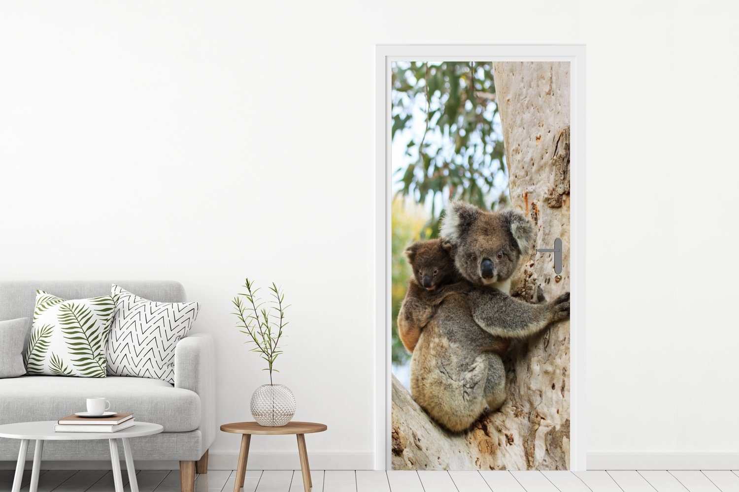 Fototapete 75x205 St), Jungen Matt, bedruckt, - (1 Kind Koalas für Baum - MuchoWow Türtapete Mädchen, Tür, - - Türaufkleber, cm