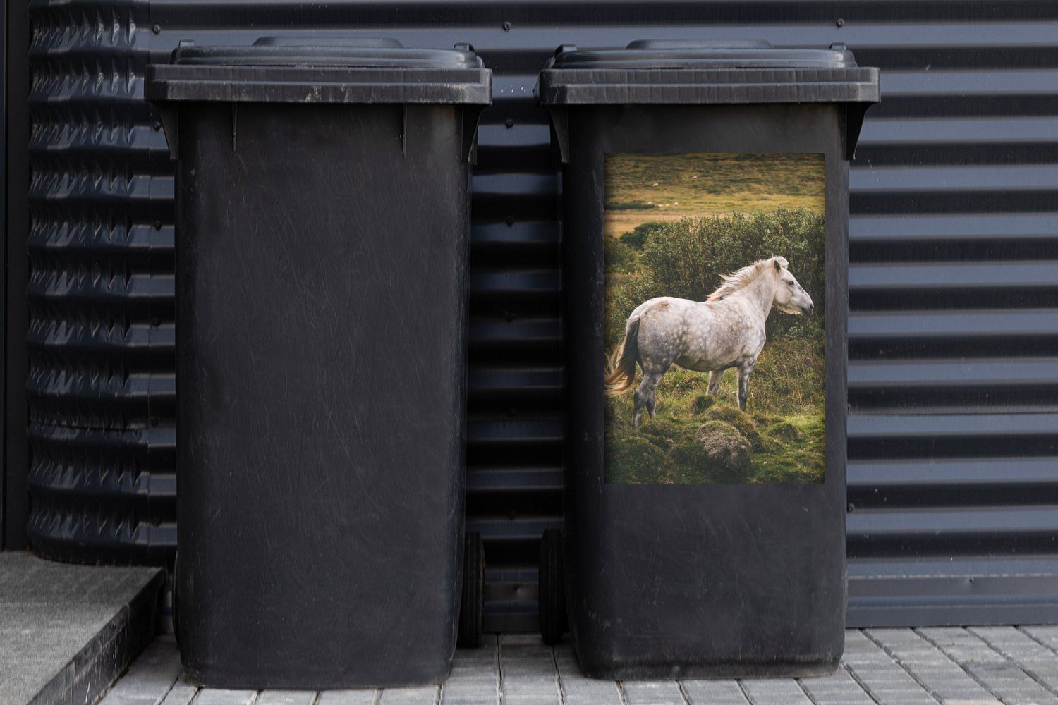 Weiß - St), - Wandsticker Mülltonne, (1 Pferd Container, MuchoWow Sticker, Mülleimer-aufkleber, Gras Abfalbehälter