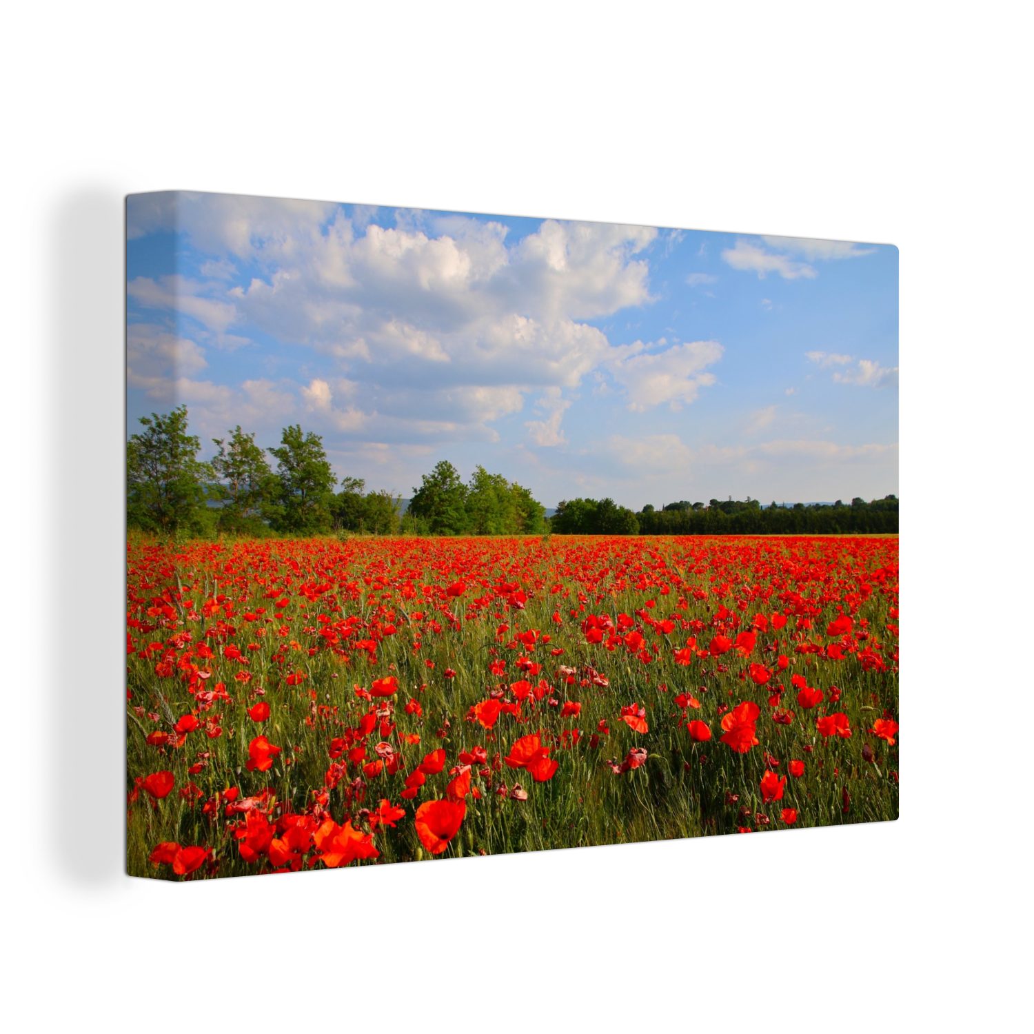 OneMillionCanvasses® Leinwandbild Mohnblumen - Blumen - Frühling, (1 St), Wandbild Leinwandbilder, Aufhängefertig, Wanddeko, 30x20 cm