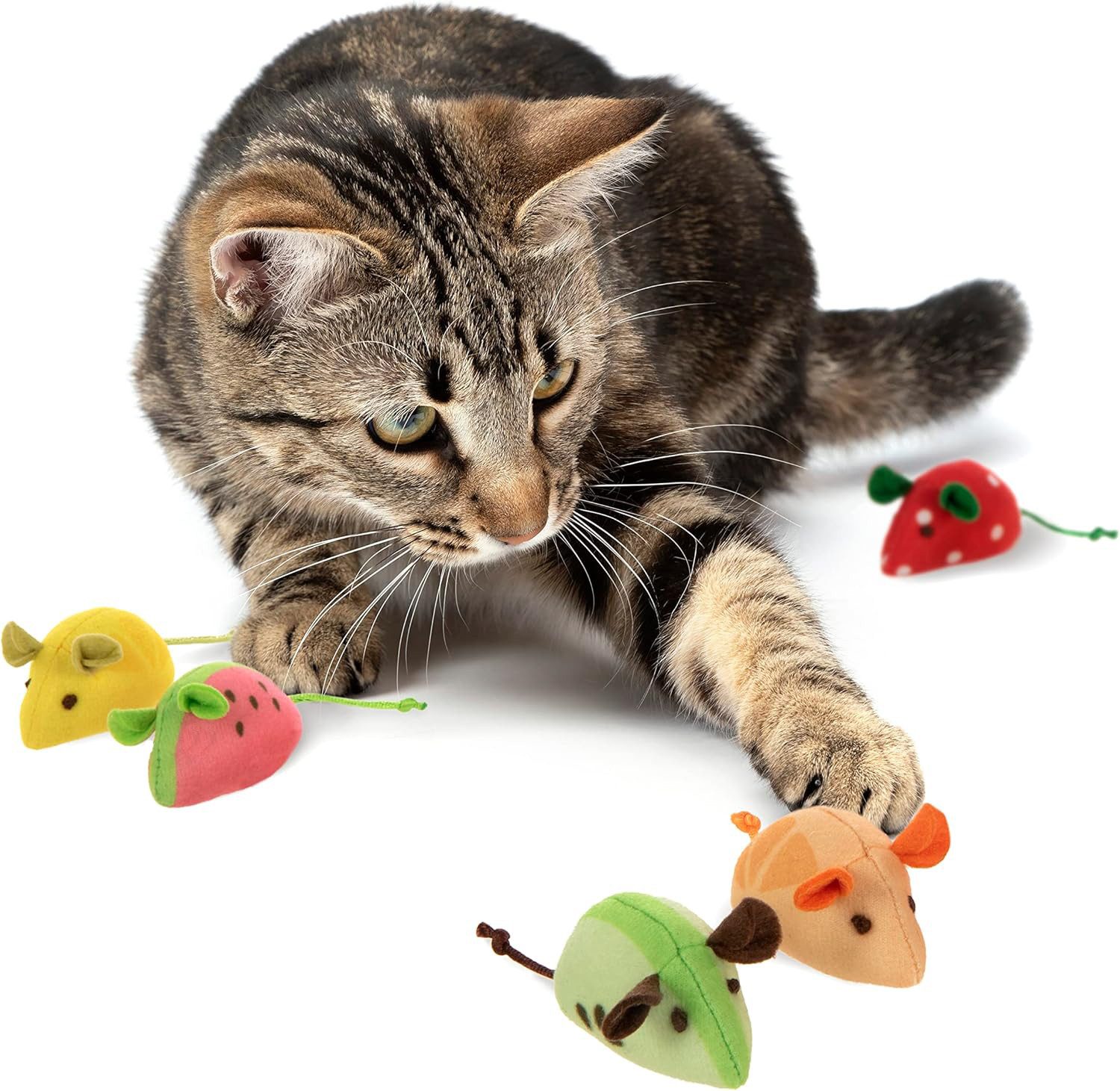 Beaface Plüschmäuse Katzenminze Mäuse Spielzeug Set günstig online kaufen