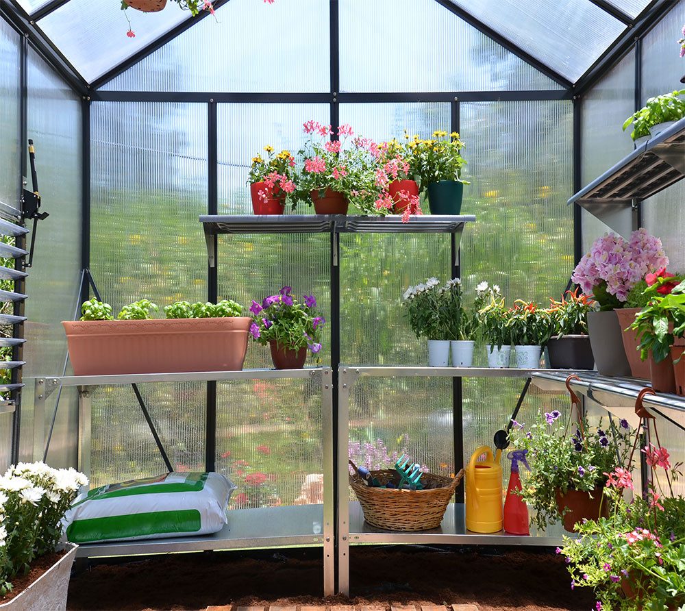 Palram - Canopia Gewächshaus, x 268  | ...