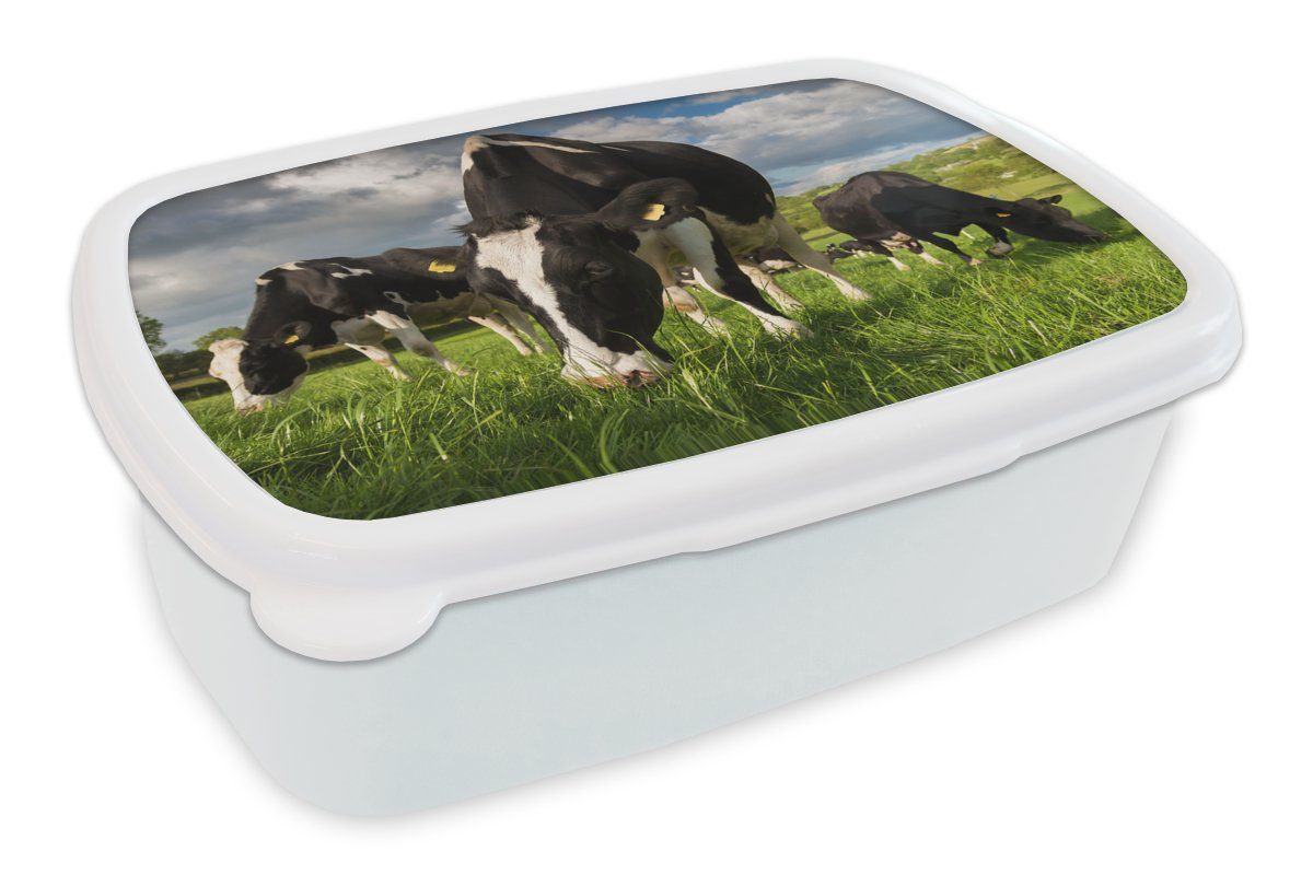 MuchoWow Lunchbox Kühe - Tiere - Gras - Wiese - Bauernhof, Kunststoff, (2-tlg), Brotbox für Kinder und Erwachsene, Brotdose, für Jungs und Mädchen weiß