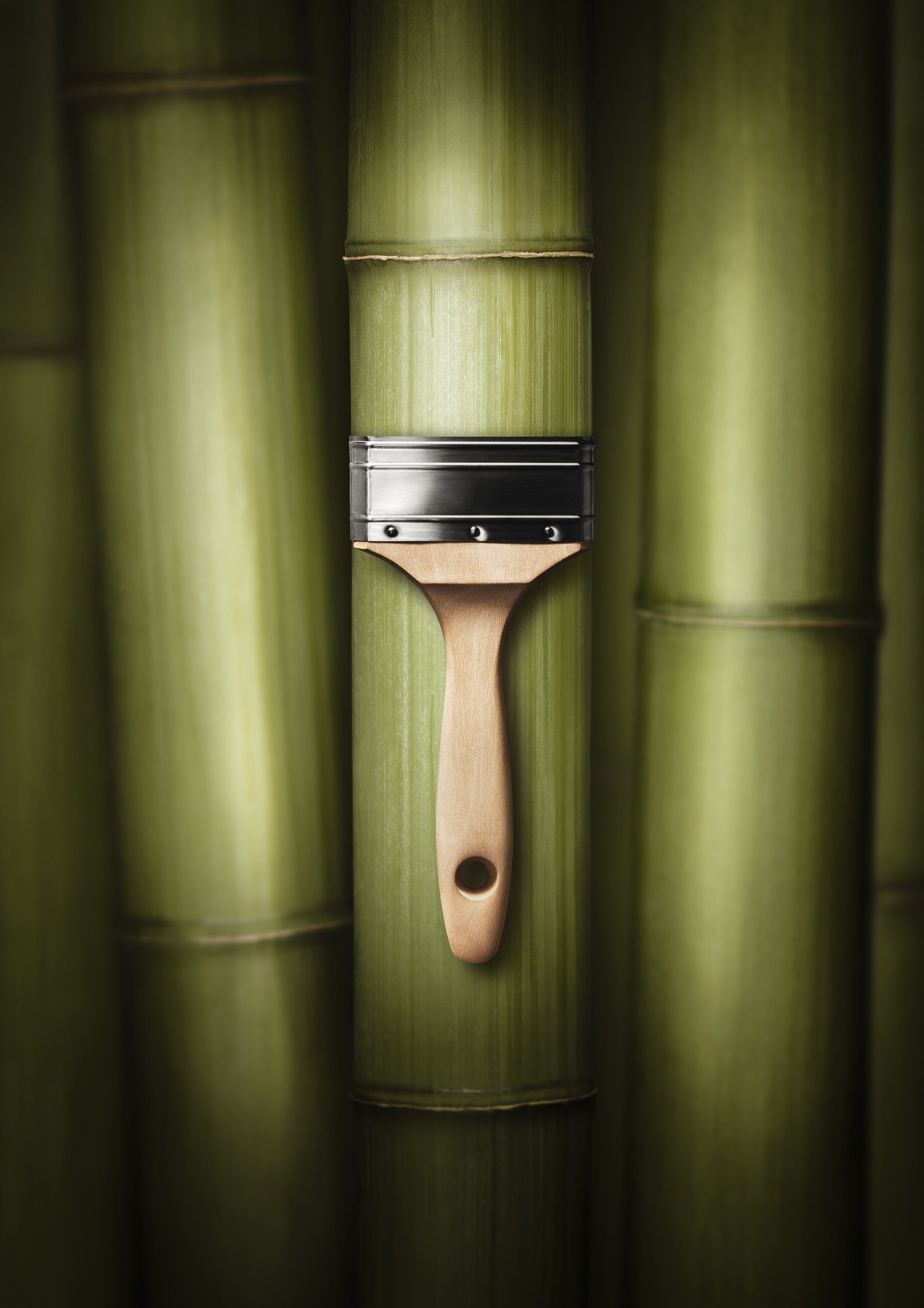 und Liter, Wandfarbe Deckenfarbe für FARBE WOHNEN Allergiker Bamboo, Trendfarbe, geeignet hochdeckende - Wand- SCHÖNER 1