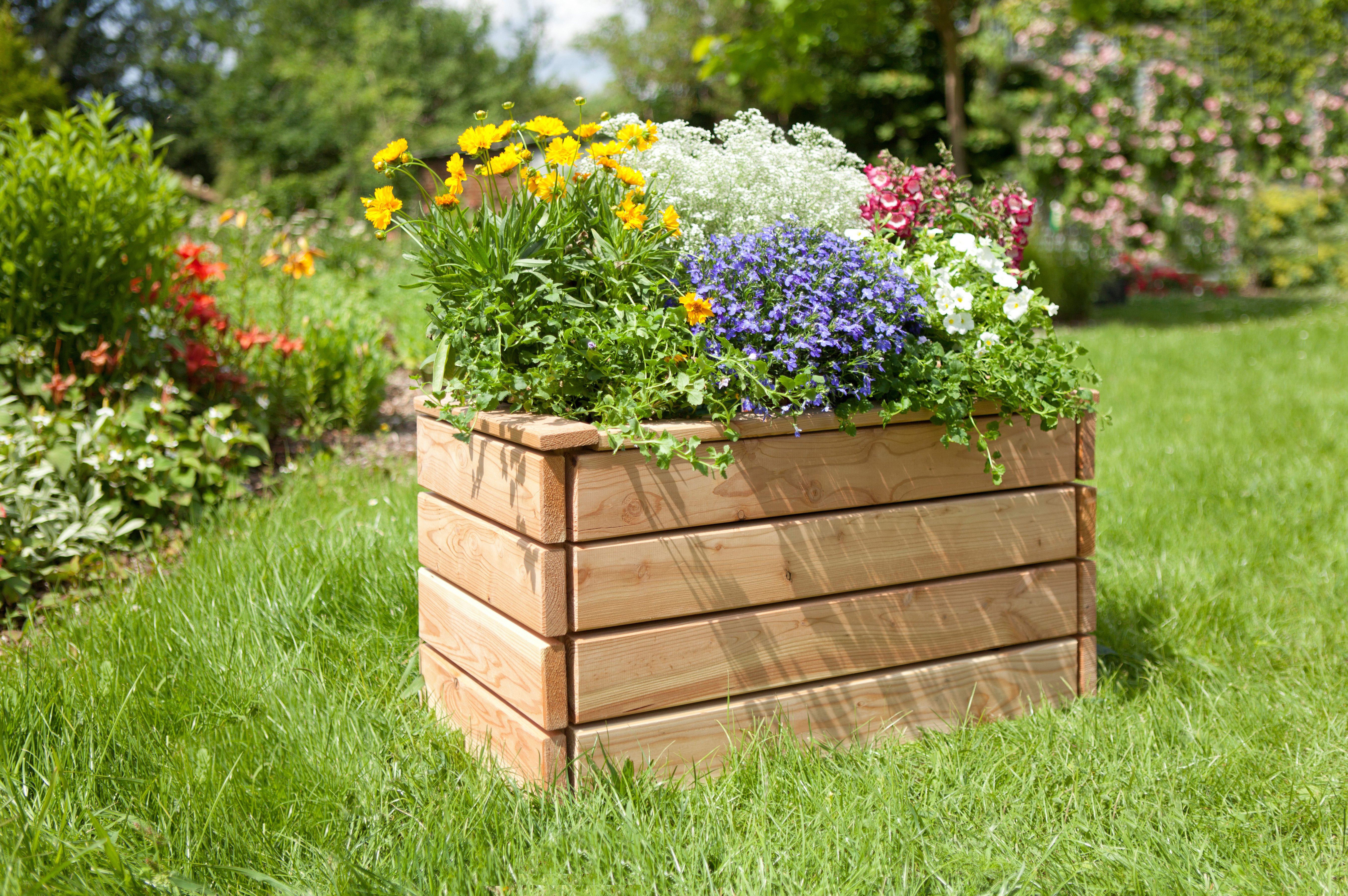 KONIFERA Pflanzkübel aus langlebigem Lärchenholz, BxTxH: 40x40x43 cm