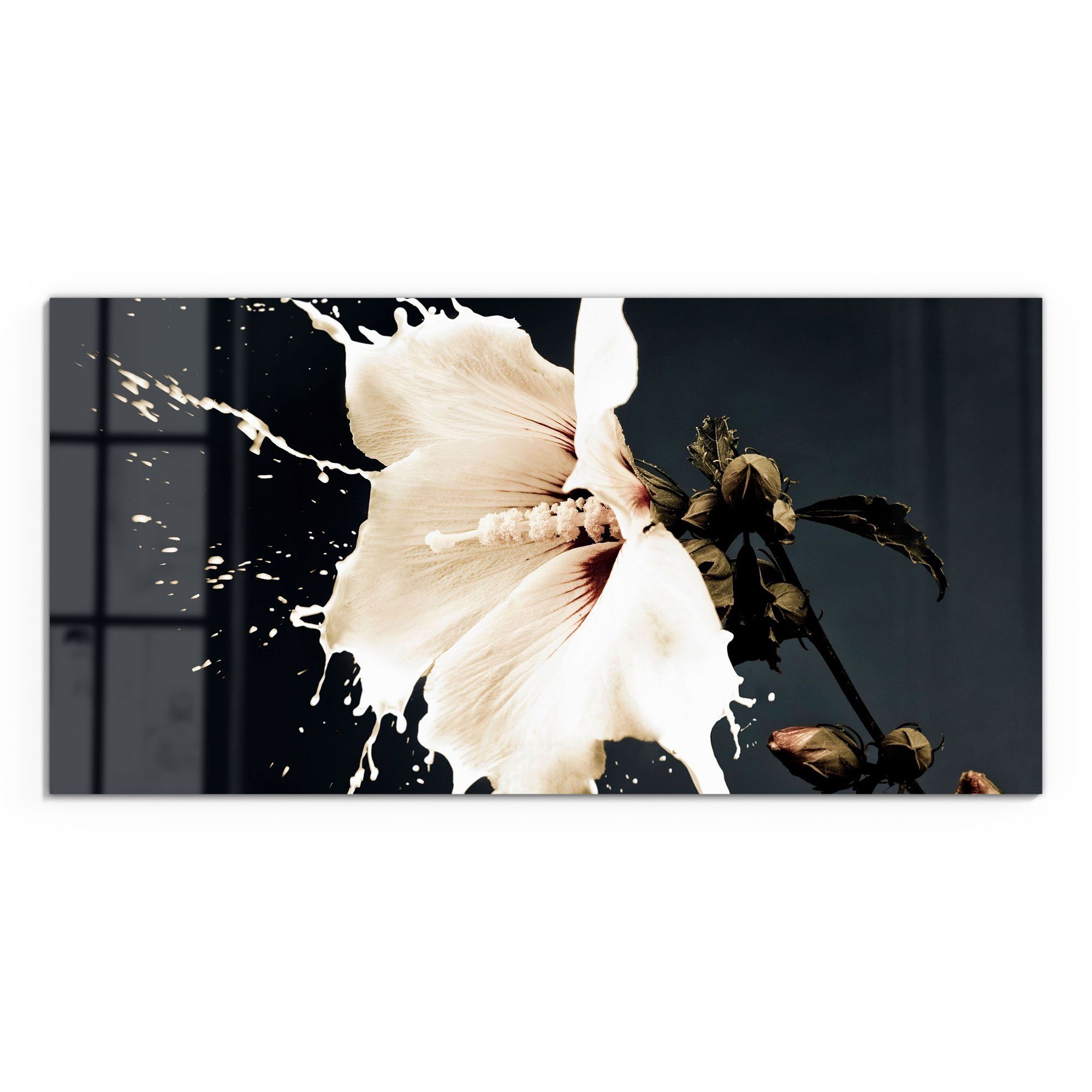 DEQORI Glasbild 'Milchige Blüte', 'Milchige Blüte', günstig online kaufen