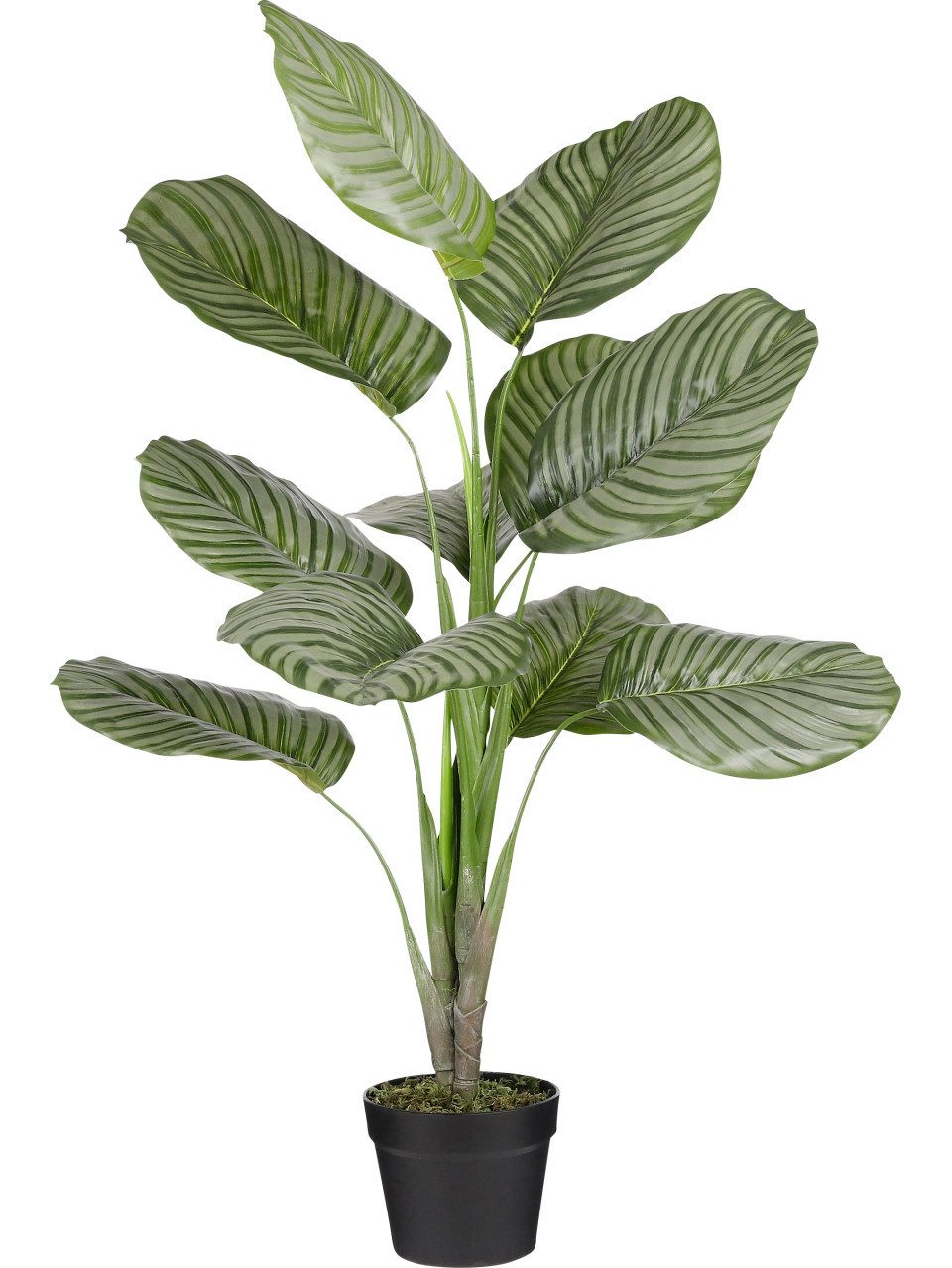Kunstpflanze Mica Kunstpflanze Calathea orbifolia im Topf grün