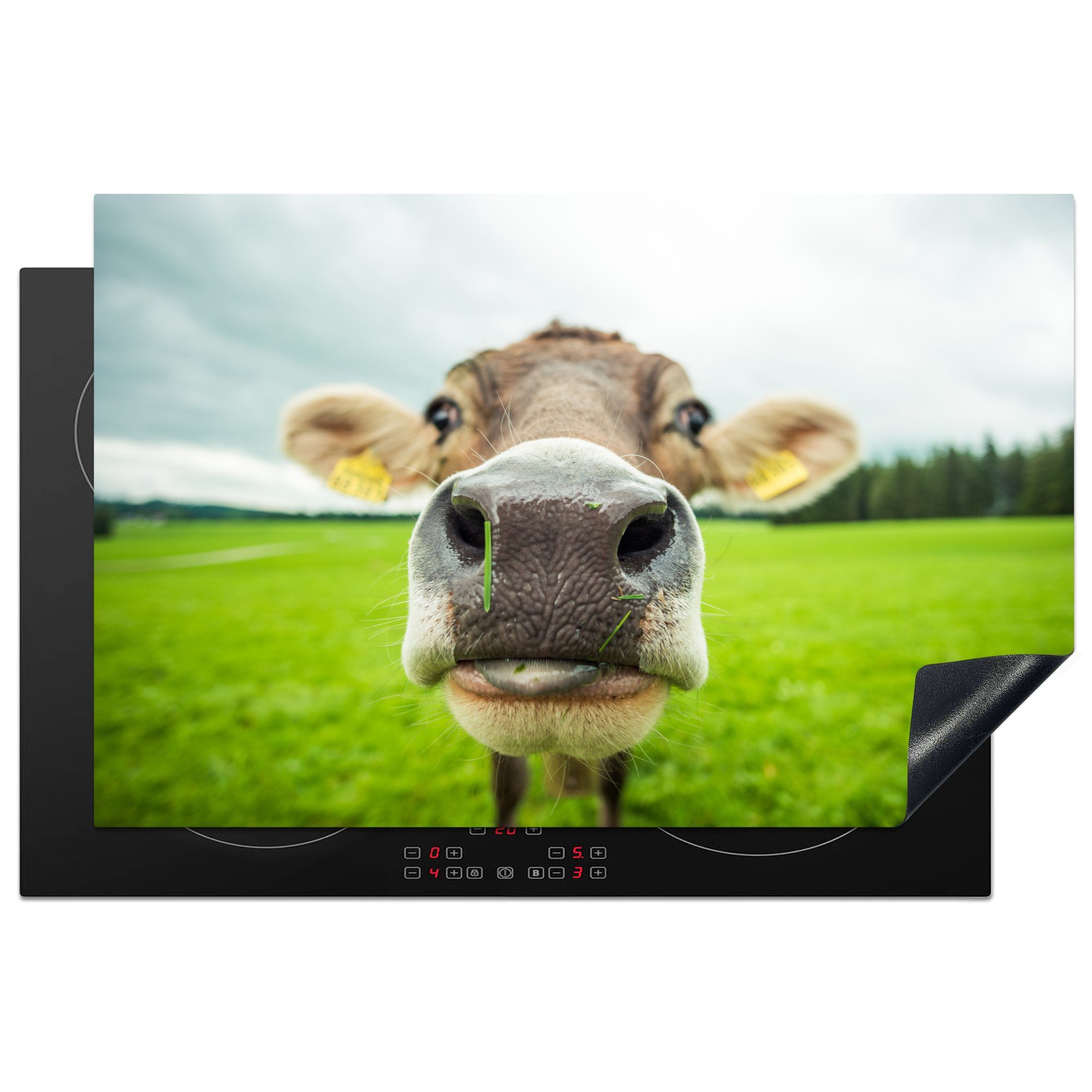MuchoWow Herdblende-/Abdeckplatte Kuh tlg), - die küche, Schutz Gras (1 81x52 Induktionskochfeld - - Vinyl, Ceranfeldabdeckung Tiere für Makro, cm