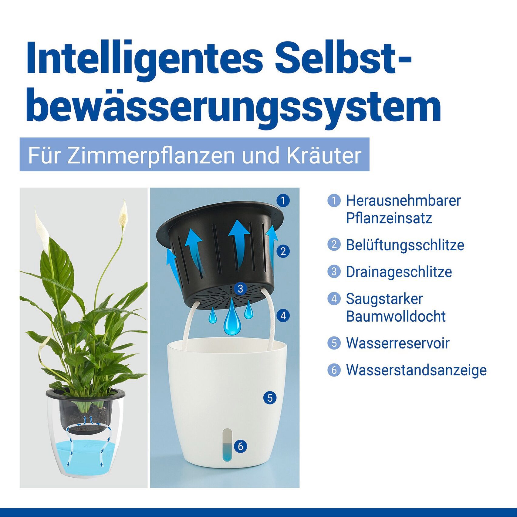 Maximex Pflanzschale Selbstbewässernde Pflanztöpfe (Set, 2 St), 18x19 cm, mit Wasserstandsanzeige