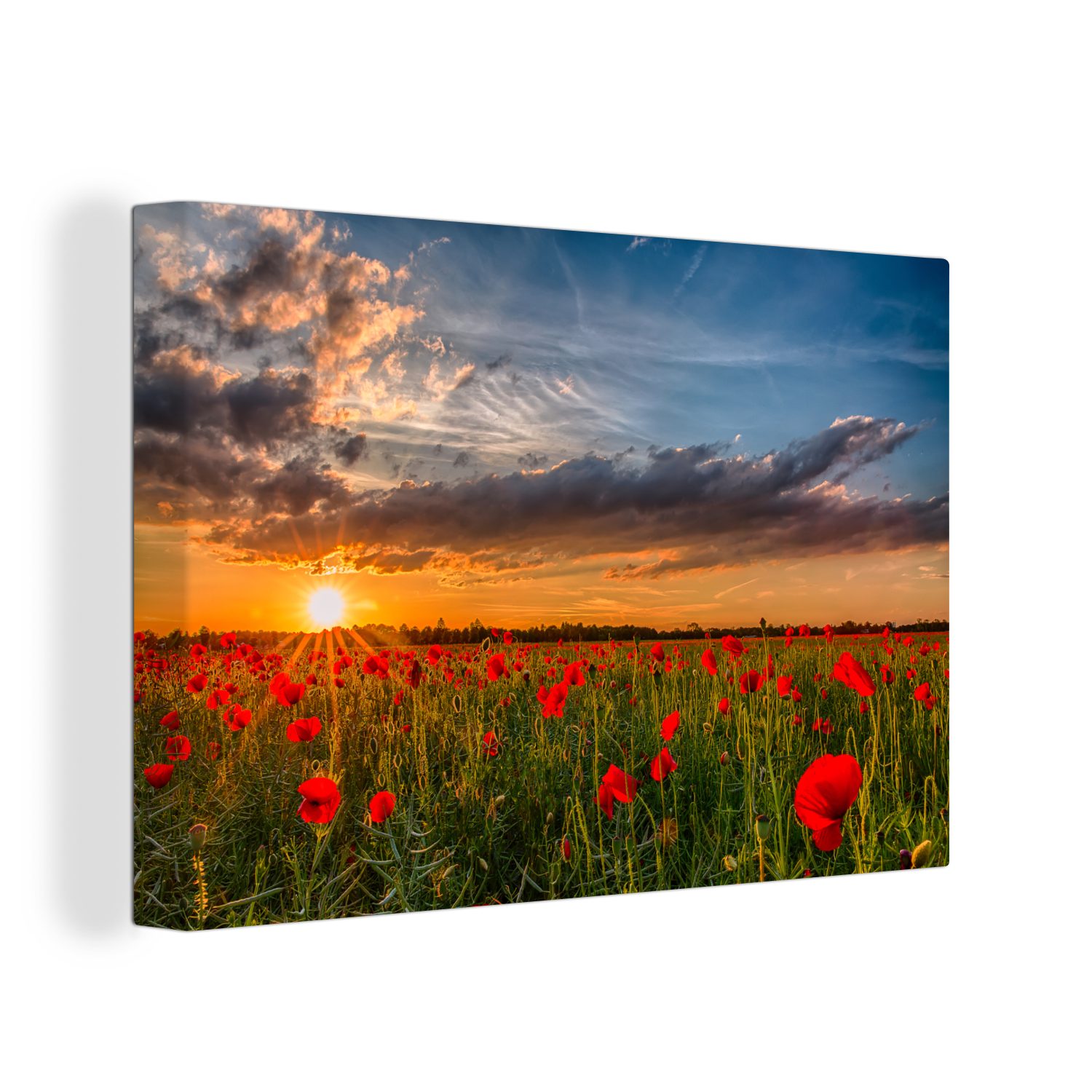 OneMillionCanvasses® Leinwandbild Mohnblumen - Blumen - Sonne, (1 St), Wandbild Leinwandbilder, Aufhängefertig, Wanddeko, 30x20 cm