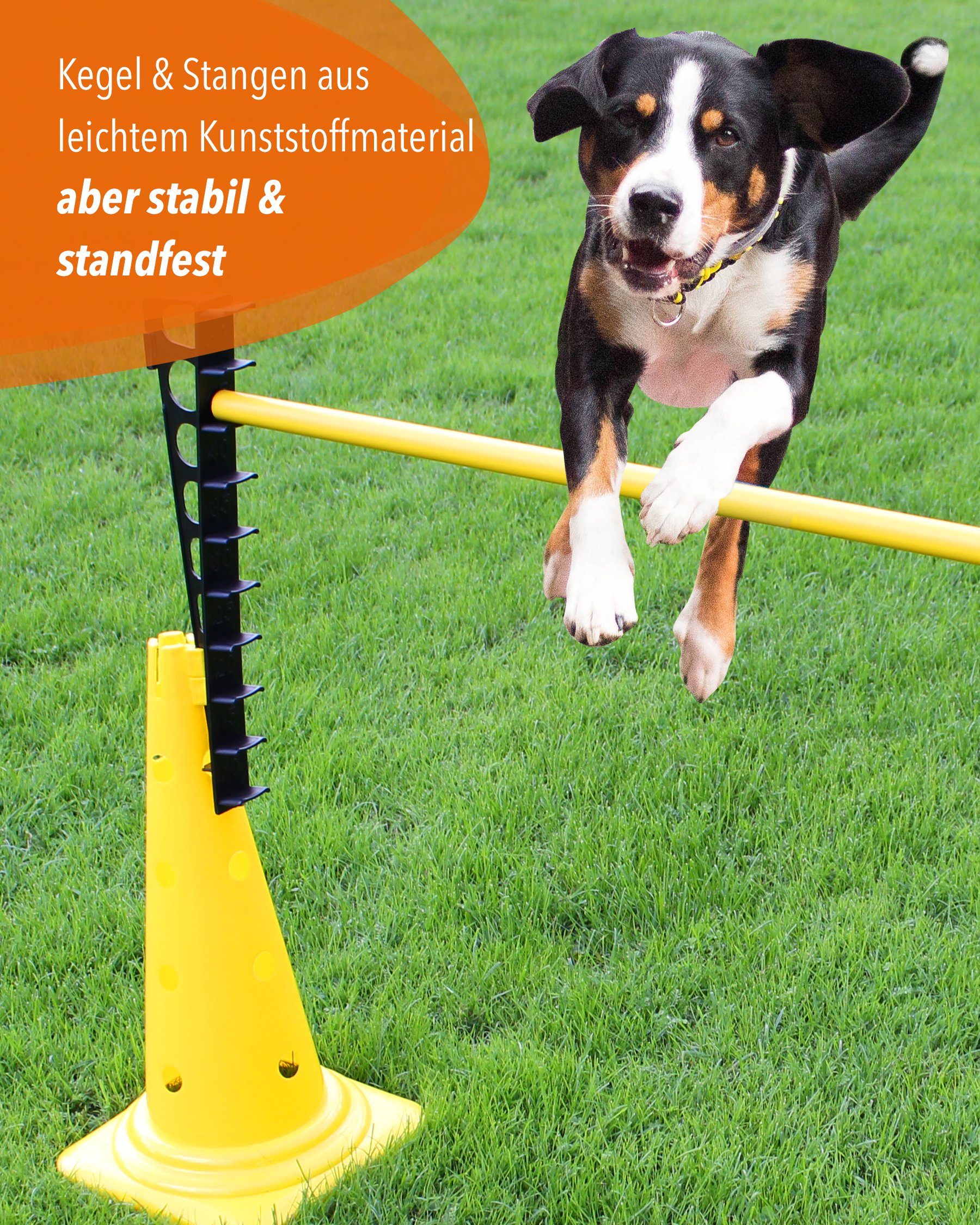 Superhund Hürde Leiterhürde mit Kegel 50 und Stange 100 cm Farbe Rot