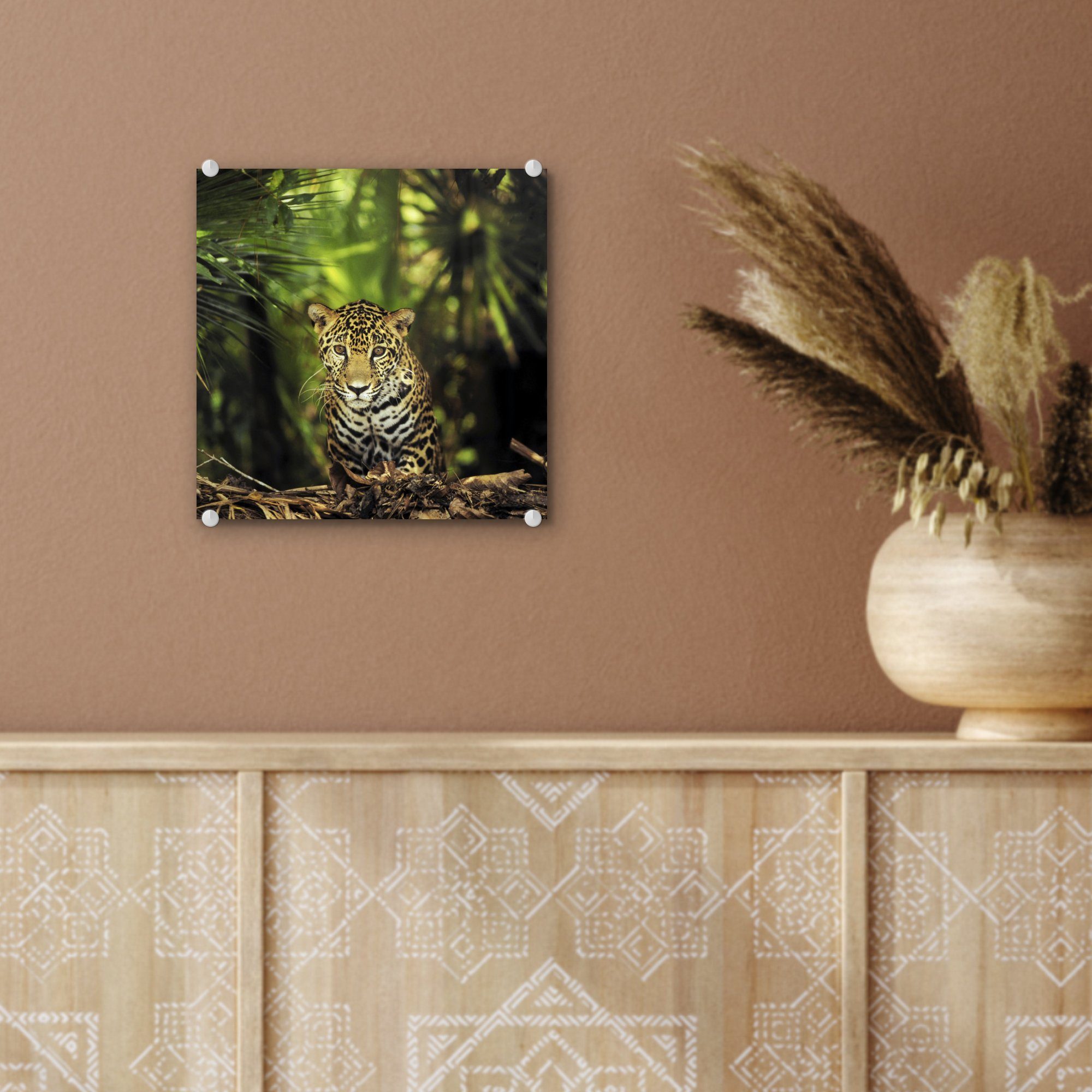 MuchoWow Acrylglasbild Junger Jaguar im - - Wandbild Dschungel, St), (1 Glas auf Wanddekoration Bilder Glas Glasbilder - Foto auf