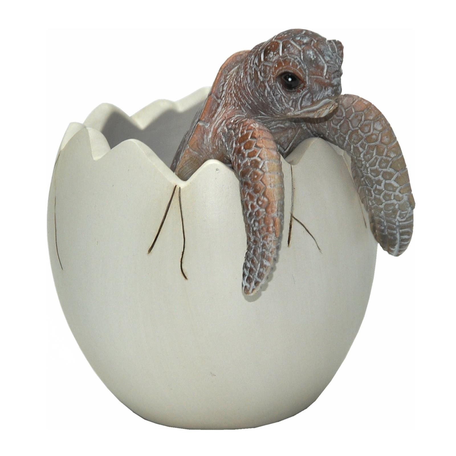 dazikemo Gartenfigur Stifthalter Kugelschreiberhalter Schildkröte - 8 x 8 x 9 cm