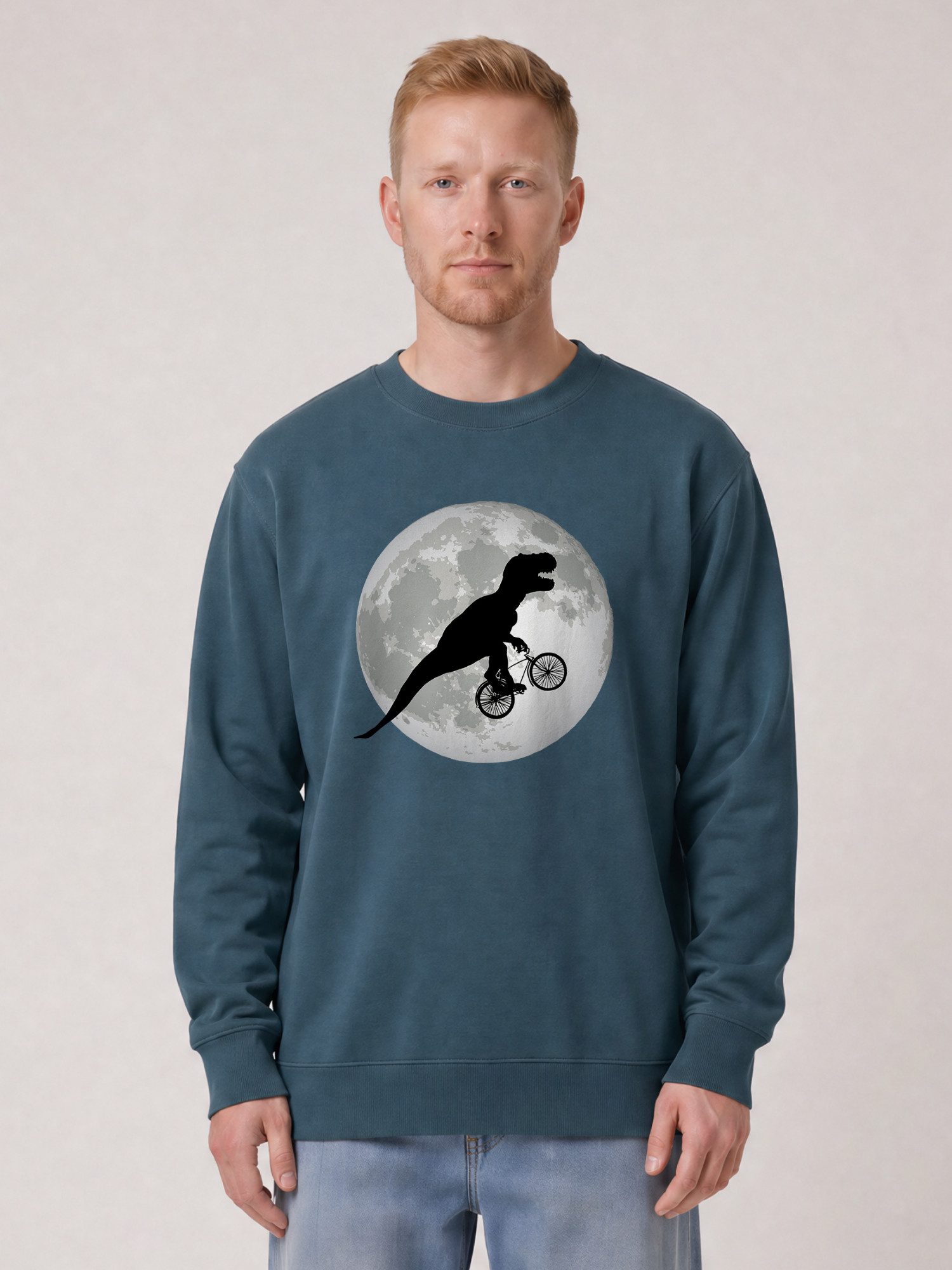 wat? Apparel Sweatshirt Flying TRex