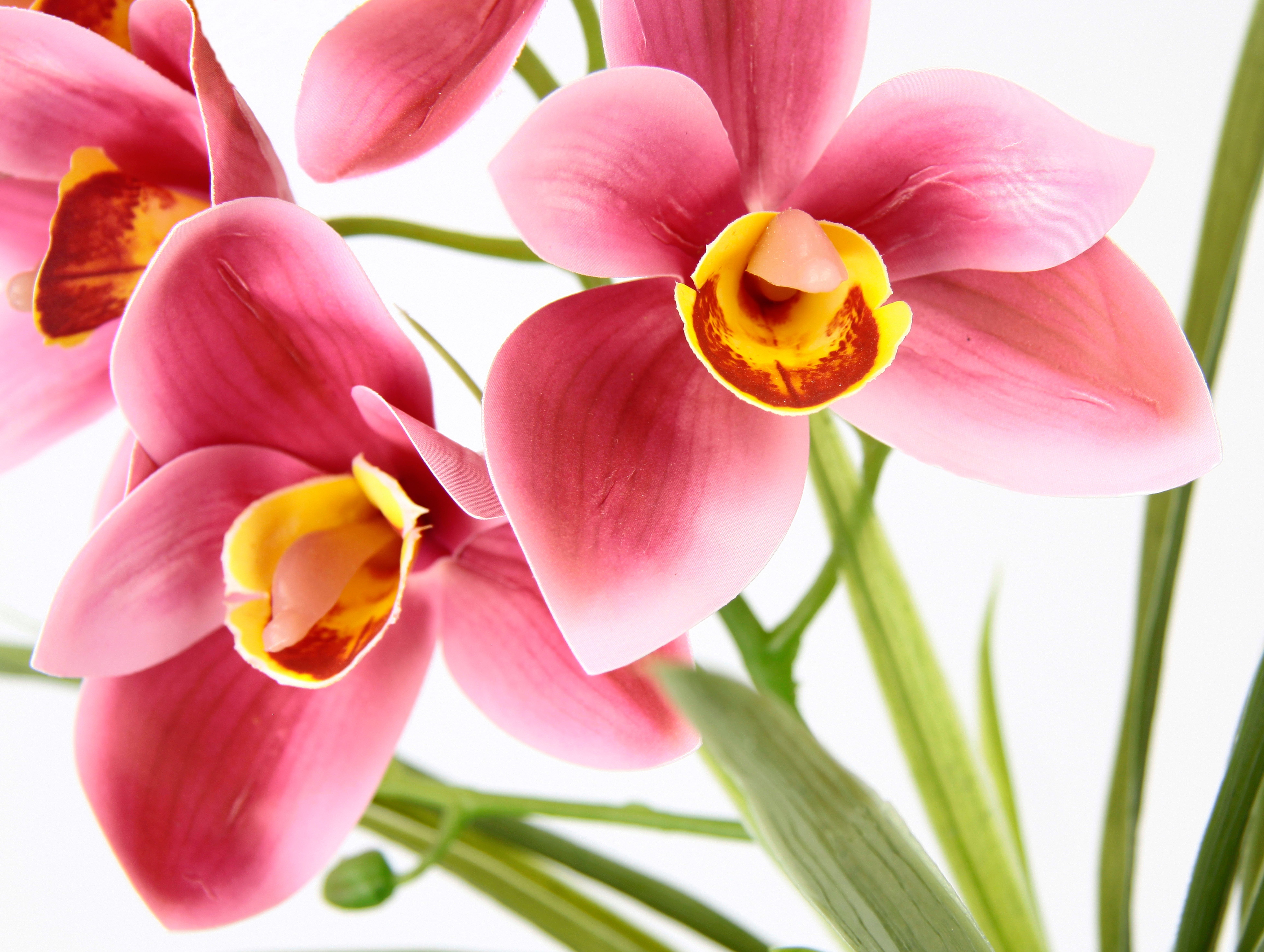32 I.GE.A., Blätter Orchidee, im Keramik Blume Künstliche cm, Kunstblume aus Cymbidium-Orchidee Mit Topf Höhe Rosa