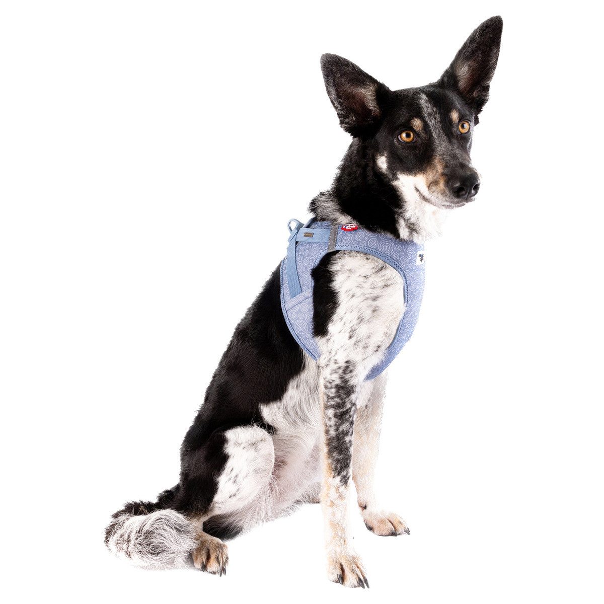 Curli Hunde-Geschirr Clasp Vest Geschirr Special günstig online kaufen