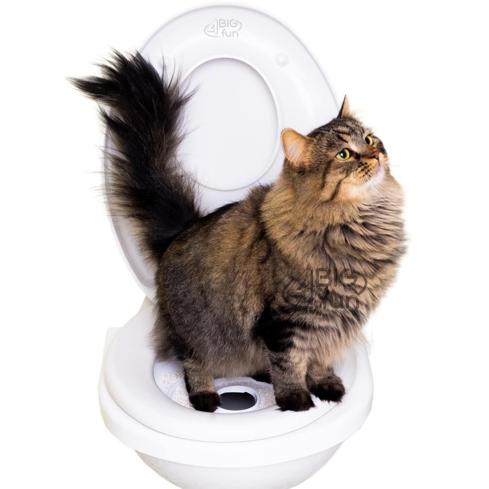 4BIG.fun Katzentoilette Katzentoilette Toilettenaufsatz Trainingssystem, Trainingssystem