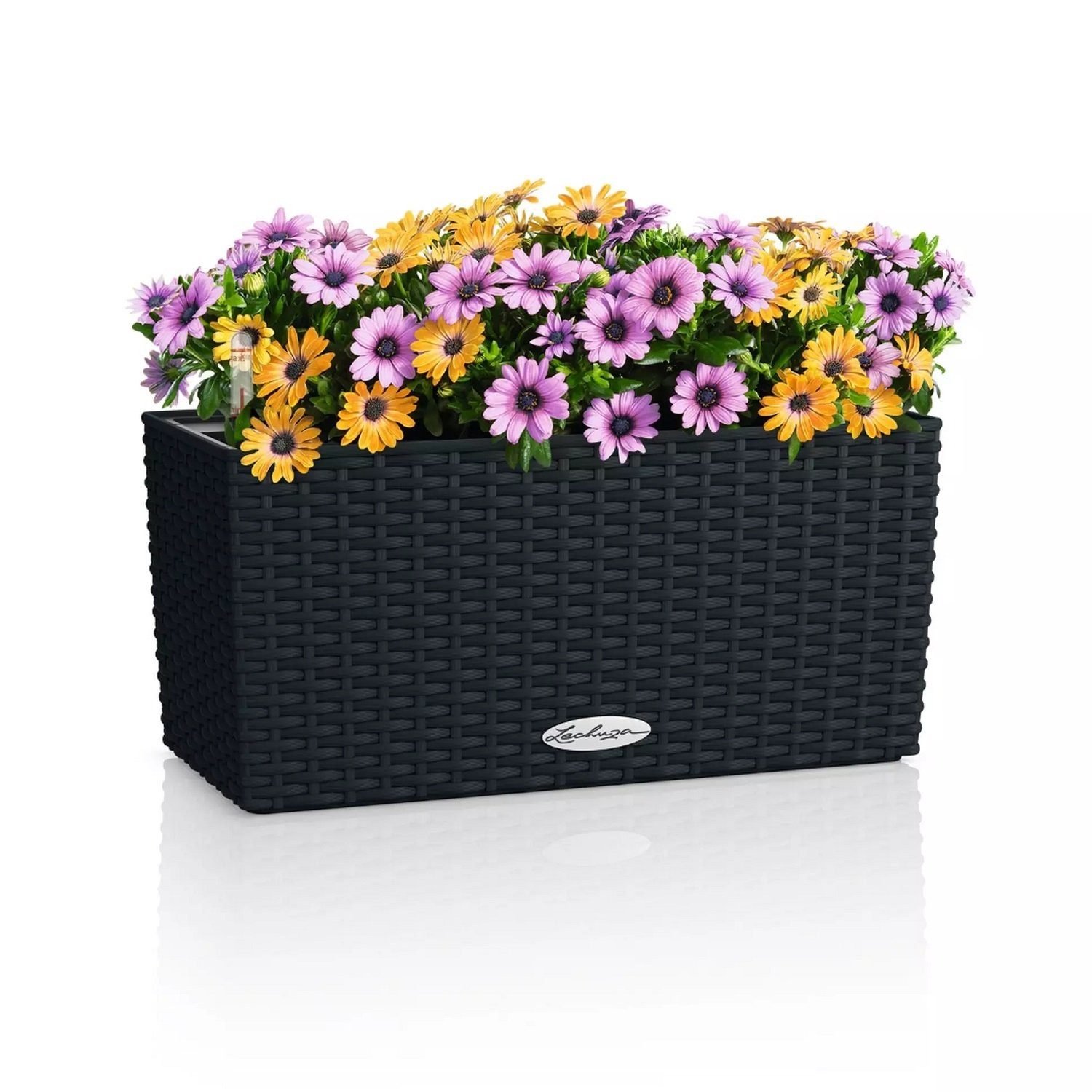 Lechuza® Balkonkasten Balconera Cottage 40 graphitschwarz