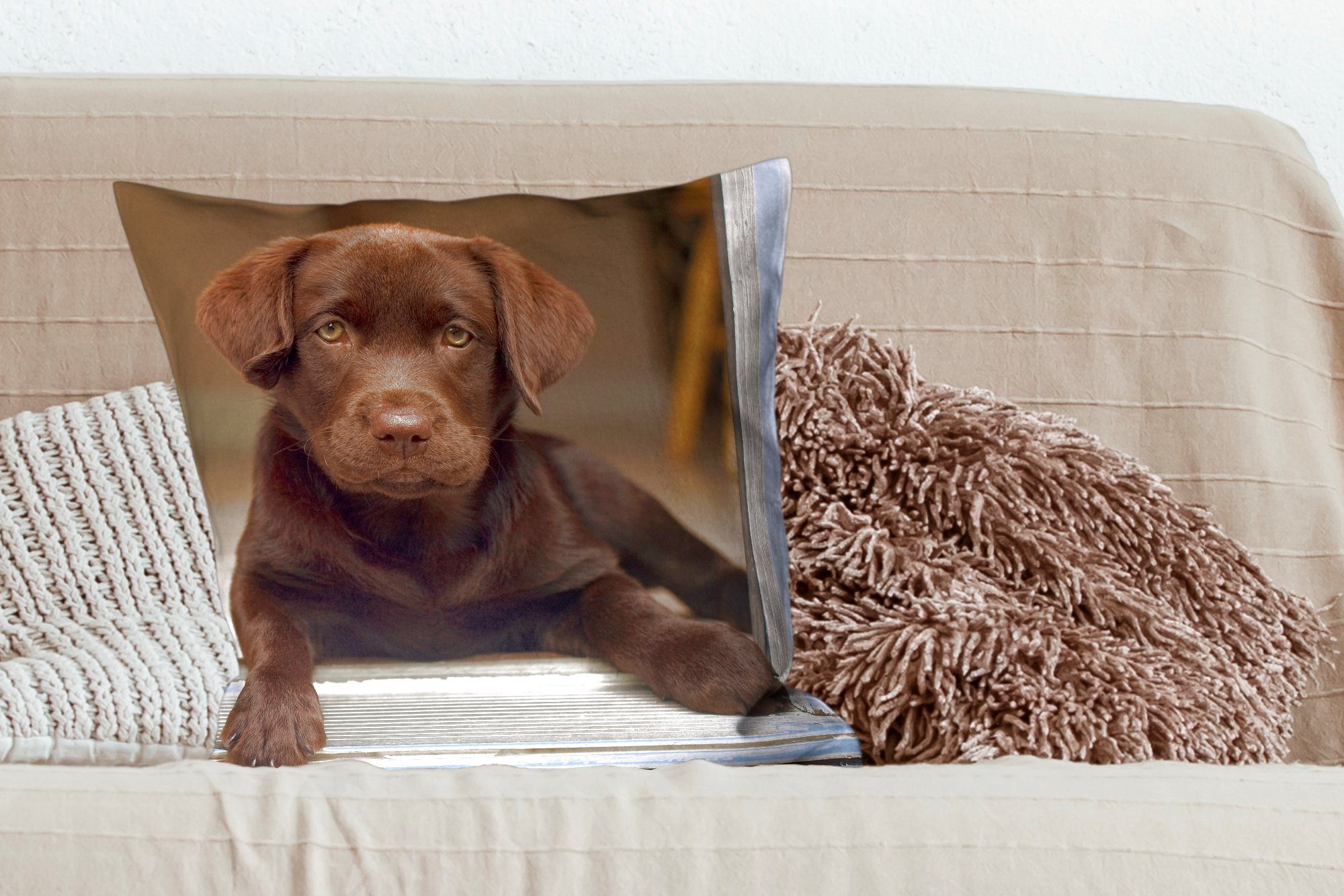 MuchoWow Dekokissen Niedlicher Labrador Retriever schaut in die Kamera, Zierkissen, Deko Kissen mit Füllung, Sofakissen, 60x60 cm