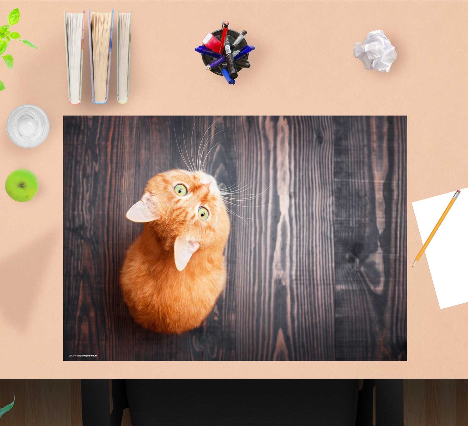 cover-your-desk.de Schreibtischunterlage Orange Katze – Schreibunterlage  aus Premium-Vinyl in versch. Größen, (1 tlg., abwischbar, Hergestellt in  Deutschland)