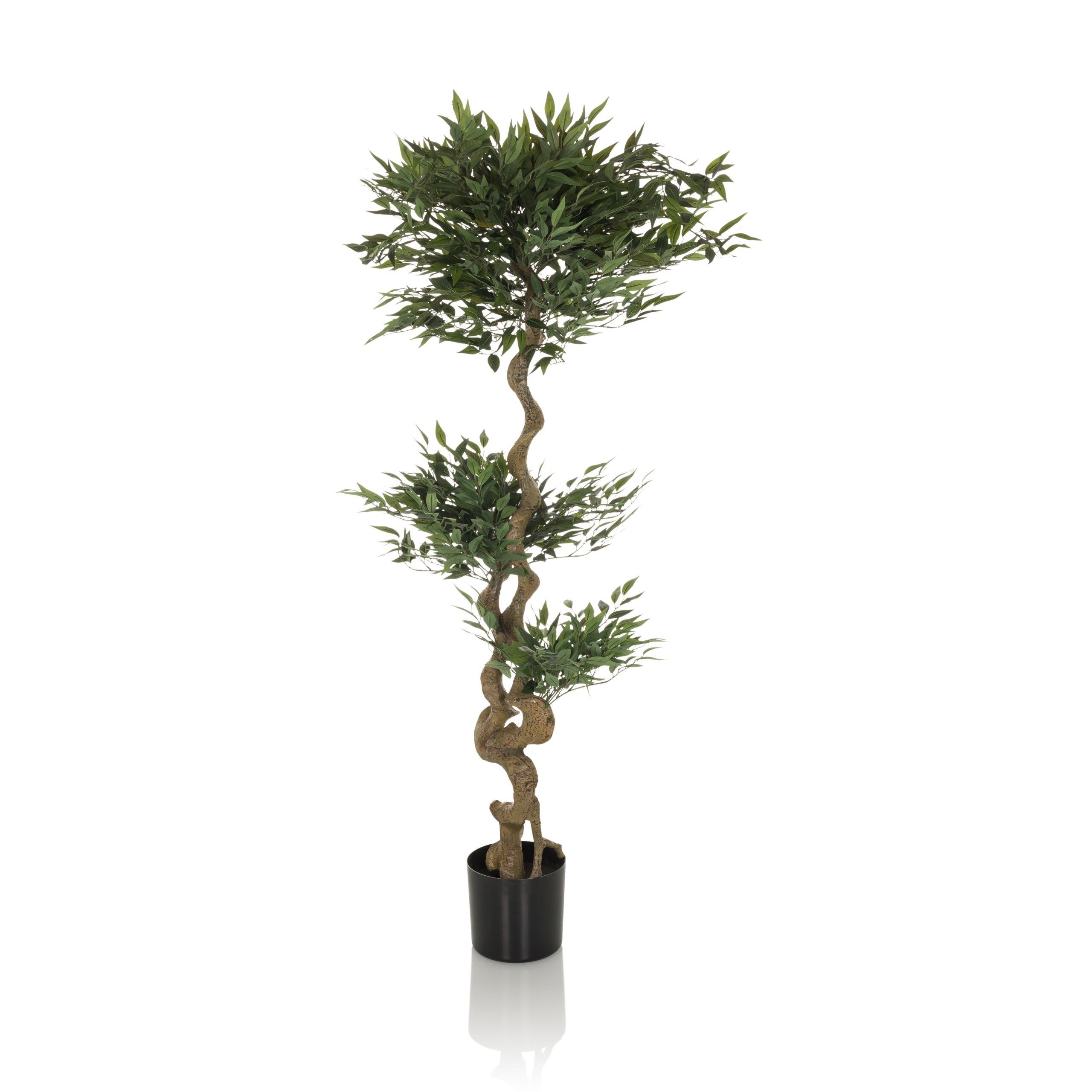 Kunstpflanze ACACIA Künstliche Pflanze Höhe 155.0 cm Strahlenaralie, hjh OFFICE, Höhe 155.0 cm, Künstliche Pflanze Zimmerpflanze Aralie, Kunstbaum im Kunststoff-Topf