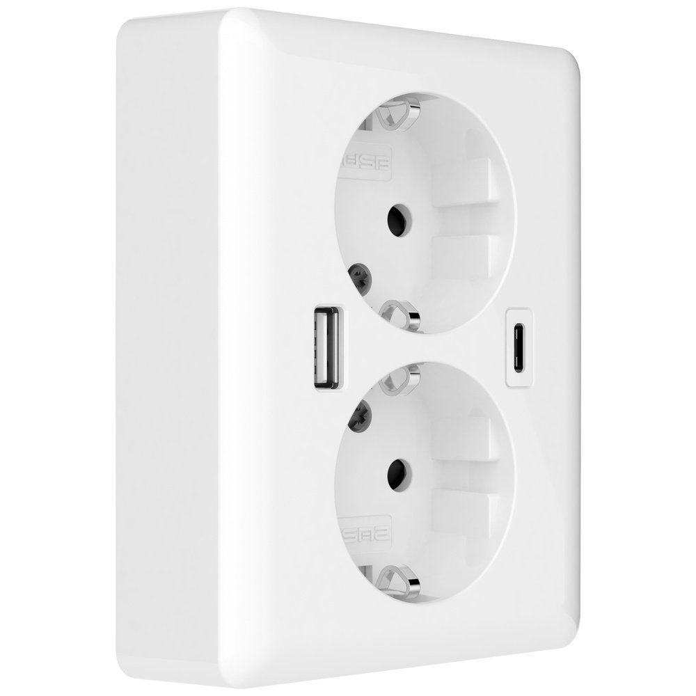 Steckdose 2USB 2U-449221 Unterputz-Dose mit USB-C®, mit USB-Ladeausgang Weiß