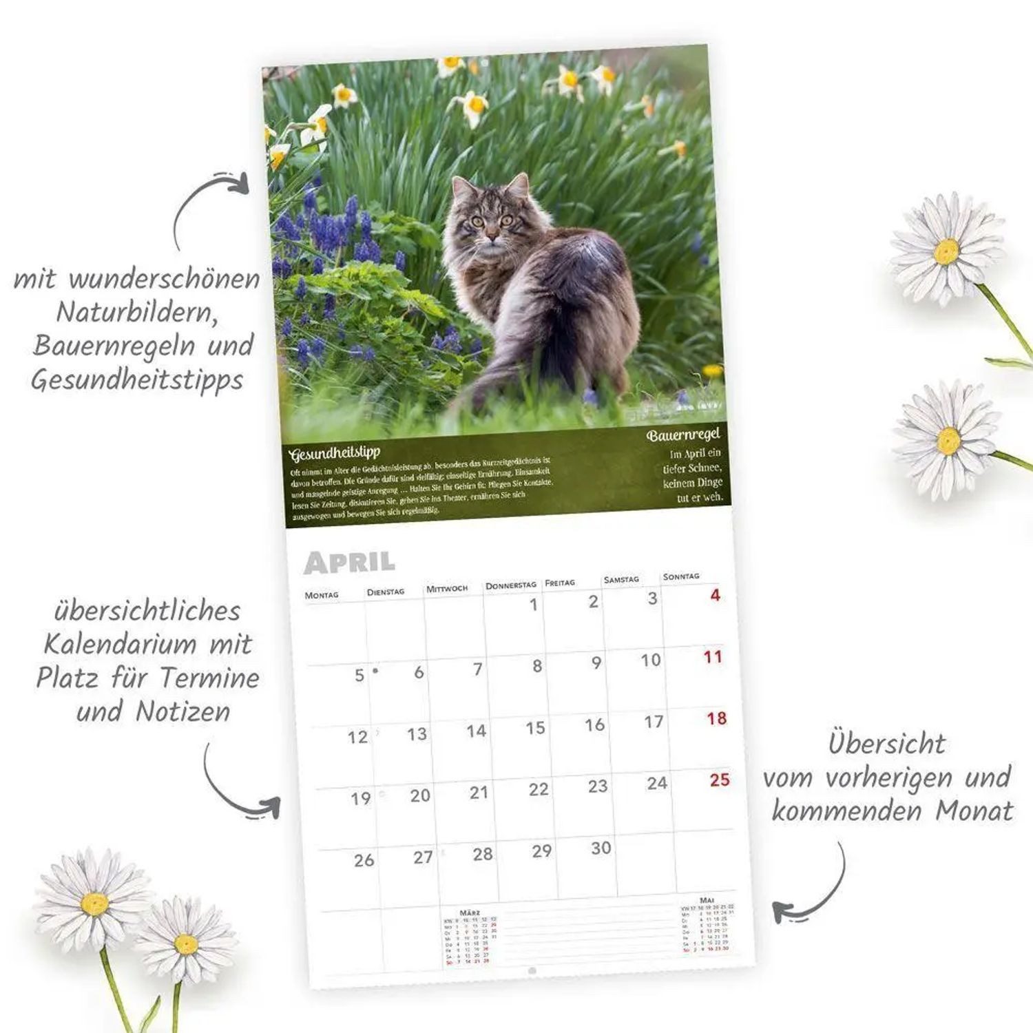 Trötsch Verlag Wandkalender TRÖTSCH - Broschürenkalender Landliebe 2027
