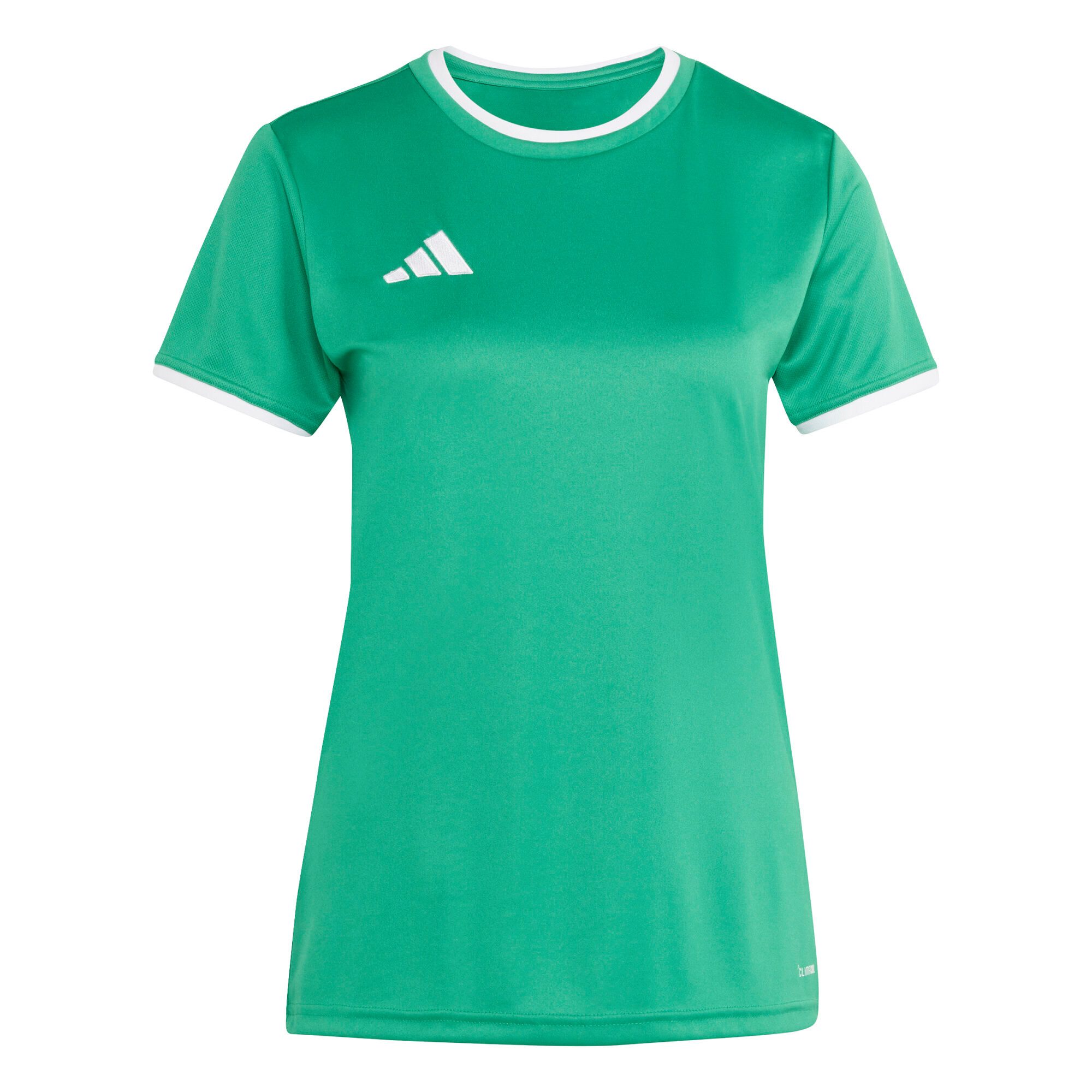 Fußballtrikot adidas Damen Trikot Entrada 26 Jersey