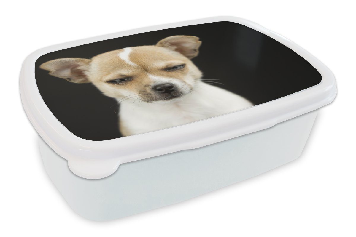 MuchoWow Lunchbox Hund - Haustiere weiß Mädchen Jungs Kunststoff, Erwachsene, für Kinder Brotdose, und Porträt, für (2-tlg), - und Brotbox