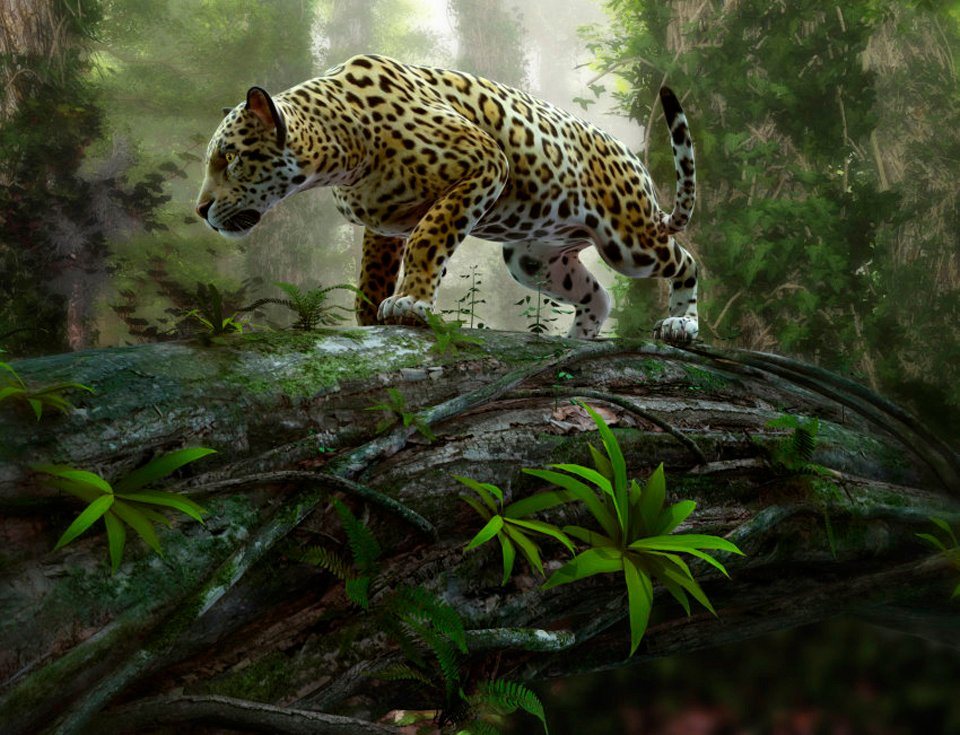Papermoon Fototapete »Jaguar on the Prowl«, glatt-HomeTrends