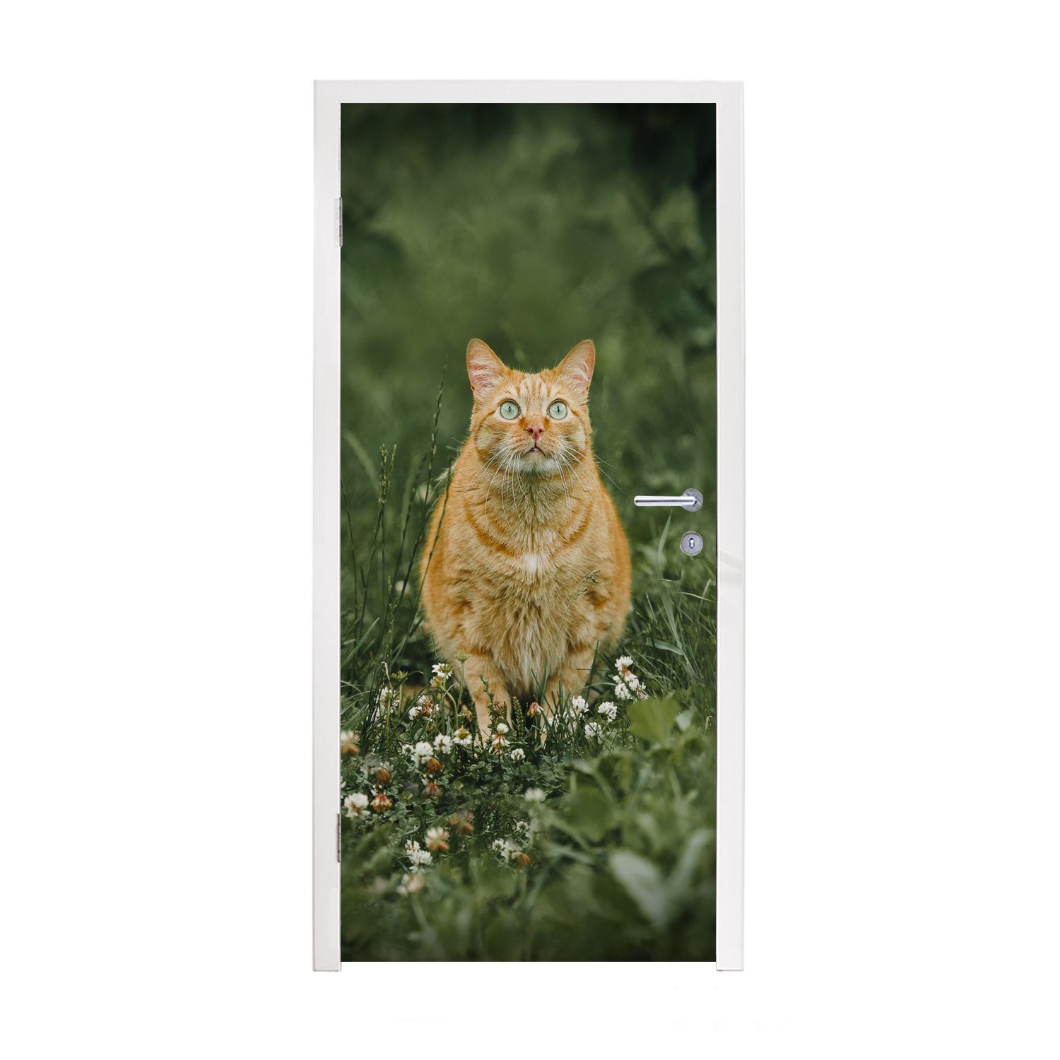 MuchoWow Türtapete Katze - Blumen - Pflanzen - Mantel, Matt, bedruckt, (1 St), Fototapete für Tür, Türaufkleber, 75x205 cm