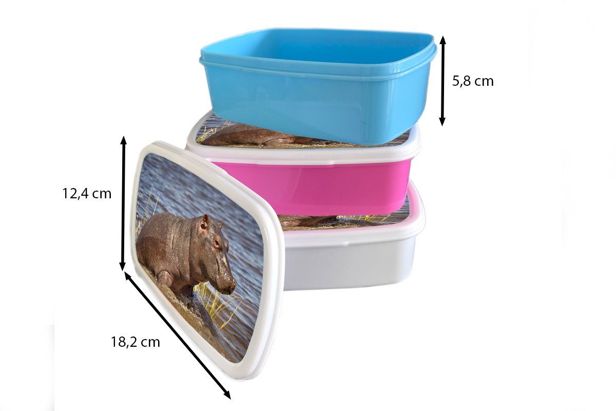 (2-tlg), - Lunchbox - Snackbox, rosa Kalb, Kinder, Kunststoff, für Nilpferd Brotdose Erwachsene, Mädchen, Wasser MuchoWow Brotbox Kunststoff