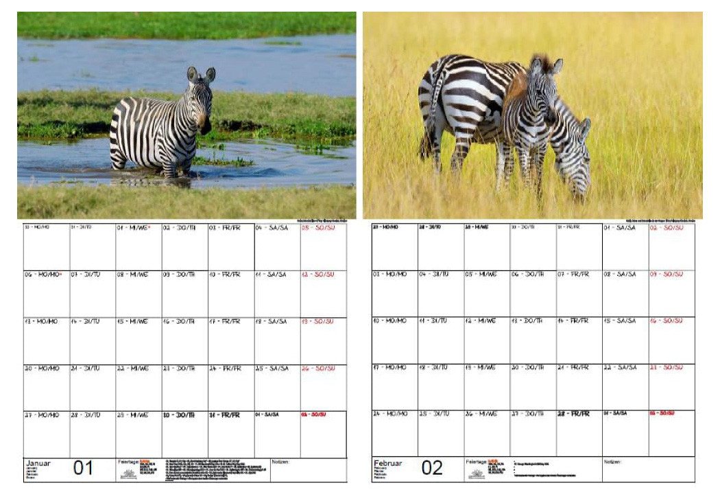 Thumbnail - Seelenzauber Wandkalender Zebrazauber Wand- Planer Kalender für 2025 DIN A3 Zebra