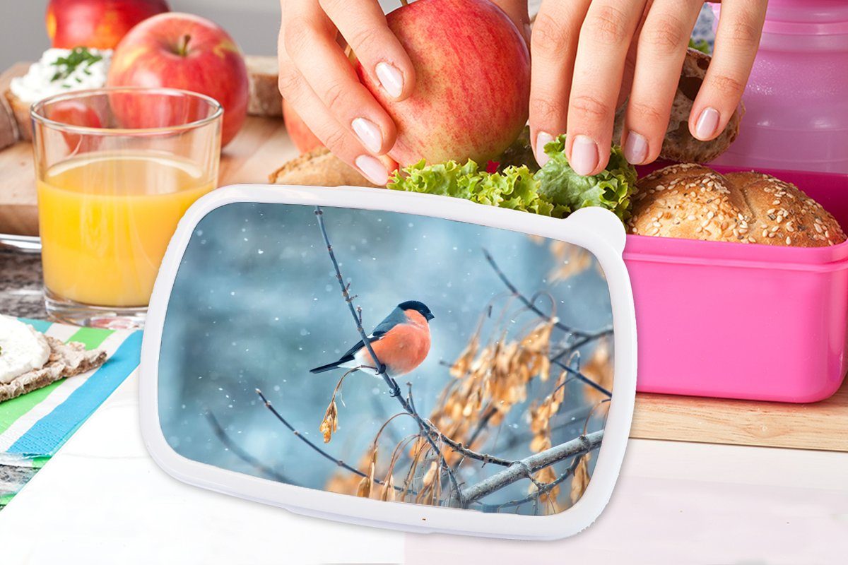 - Lunchbox Erwachsene, Kunststoff Schnee Brotdose Blätter, - Kinder, Herbstliche Vogel für Mädchen, Brotbox Snackbox, MuchoWow - Kunststoff, Rotkehlchen (2-tlg), rosa