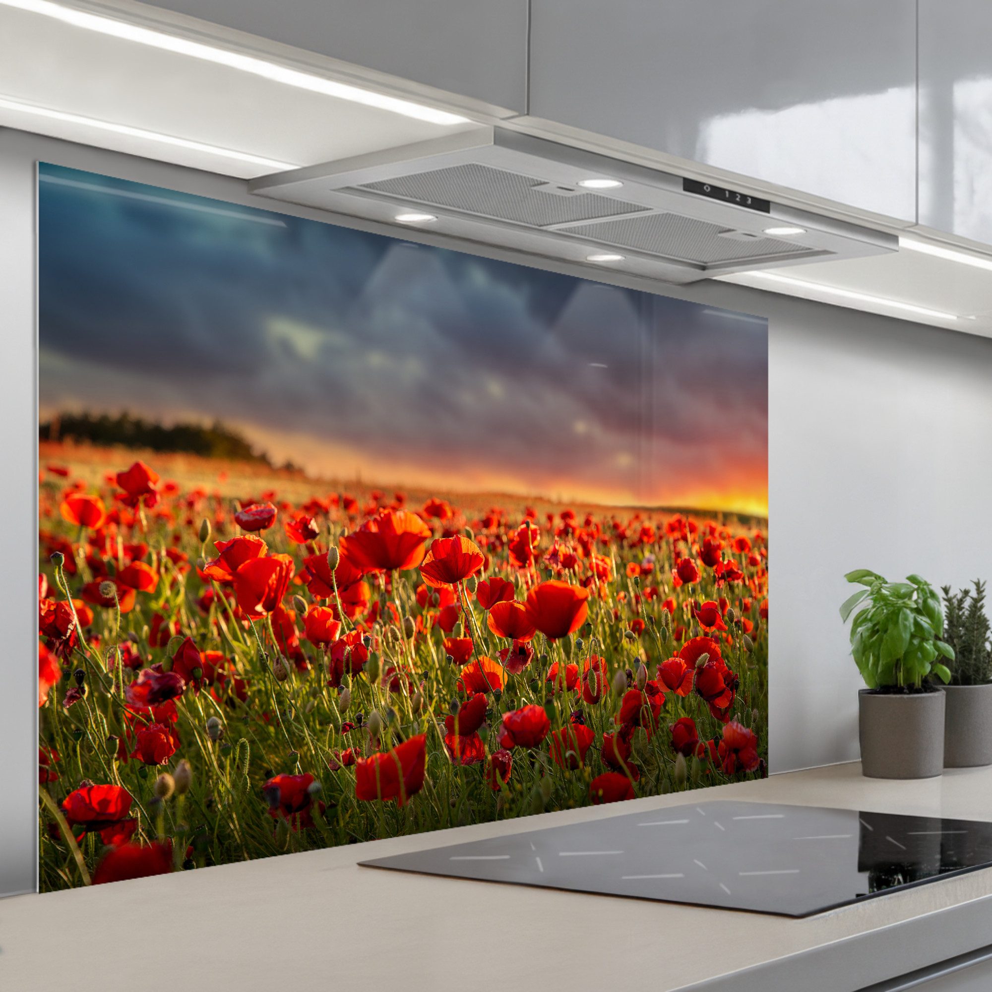 KitchenYeah Küchenrückwand selbstklebend (keine Folie) Sonnenuntergang - Mohnblumen - Rot - Blume, (1-tlg), Spritzschutz Küchenrückwand, Wandschutz, 120x80 cm