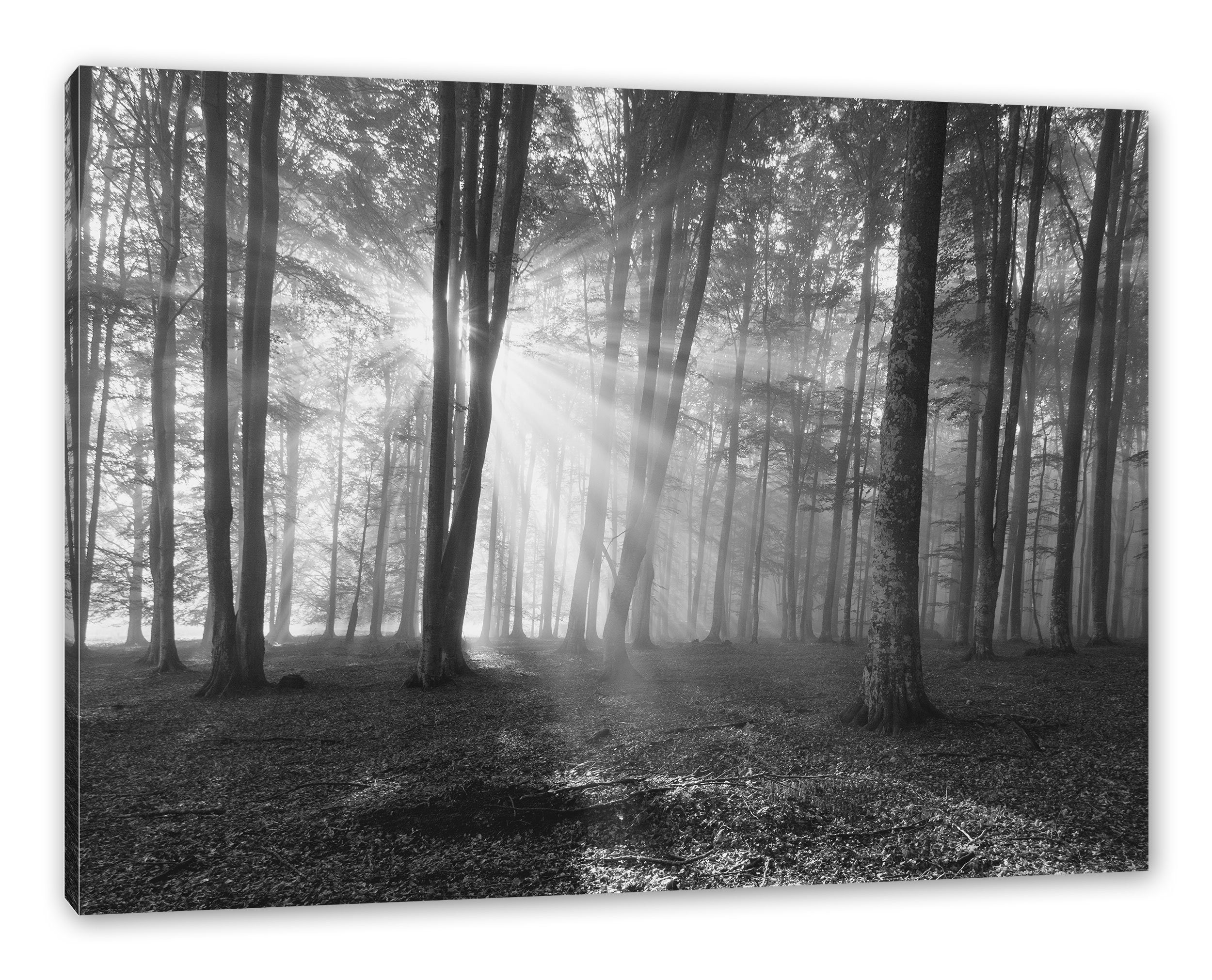 Pixxprint Leinwandbild Wald mit Sonnenstrahlen, (1 Zackenaufhänger Wald inkl. fertig Leinwandbild St), bespannt, mit Sonnenstrahlen