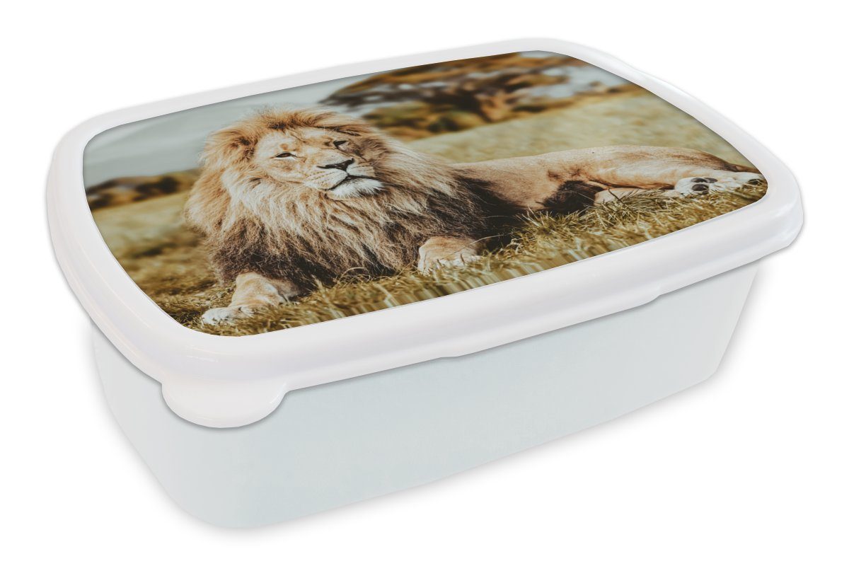 Jungs Kunststoff, - für - (2-tlg), weiß Mädchen für Lunchbox MuchoWow Brotbox Löwen Erwachsene, Afrika, Wild und und Brotdose, Kinder