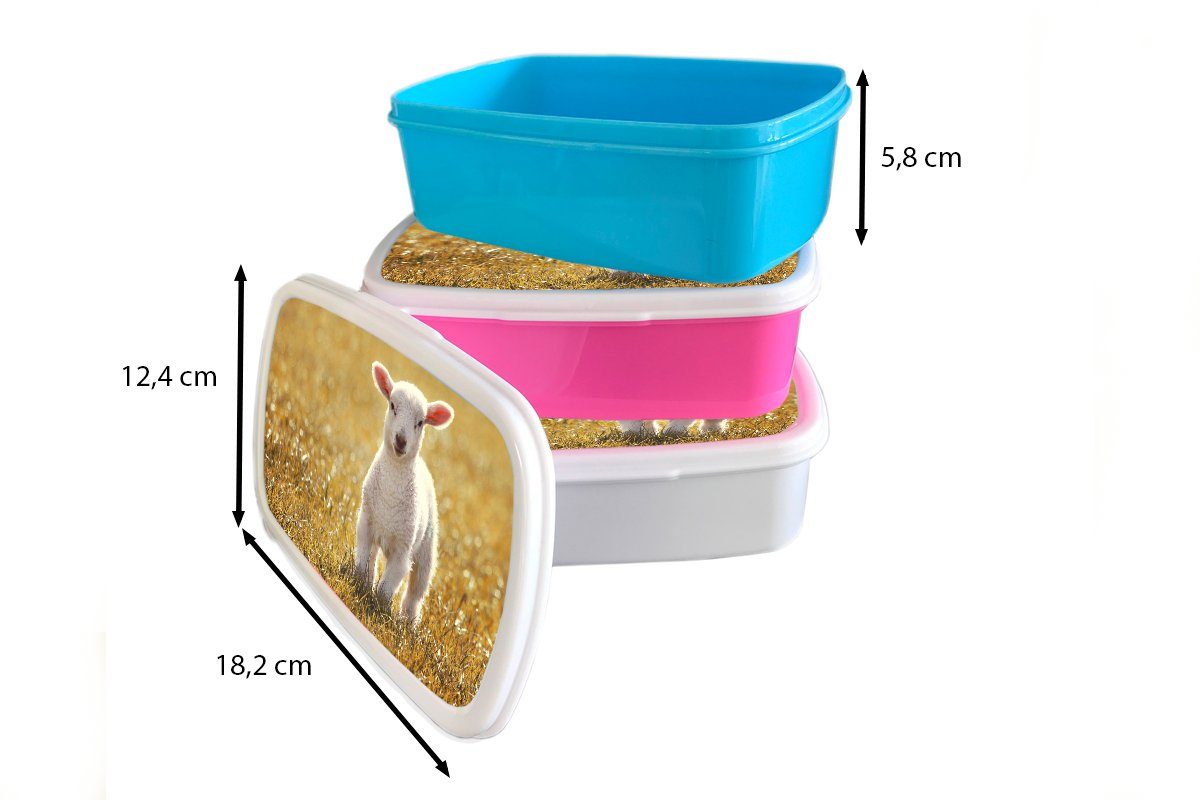 MuchoWow Lunchbox rosa Gras Snackbox, (2-tlg), Schafe Brotdose Erwachsene, für - Mädchen, Kinder, Kunststoff Sonne, Kunststoff, - Brotbox
